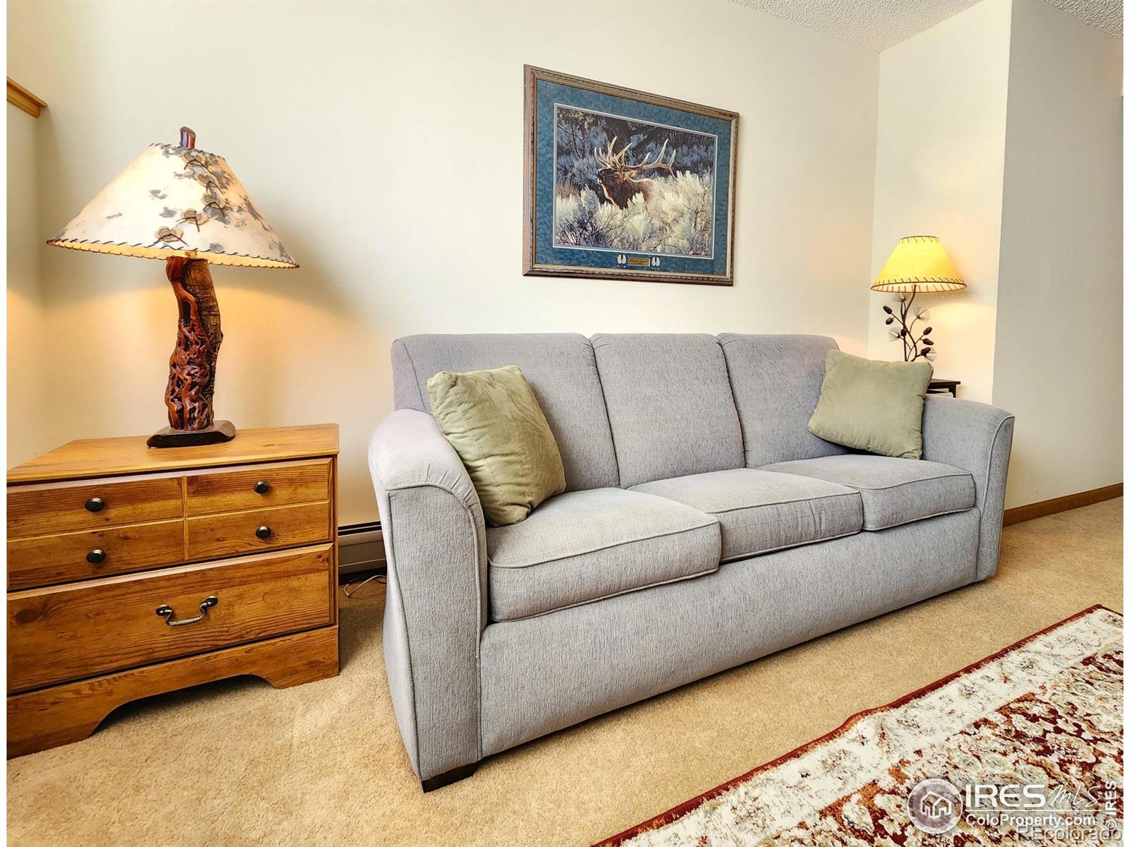 MLS Image #37 for 1443  matthew circle,estes park, Colorado