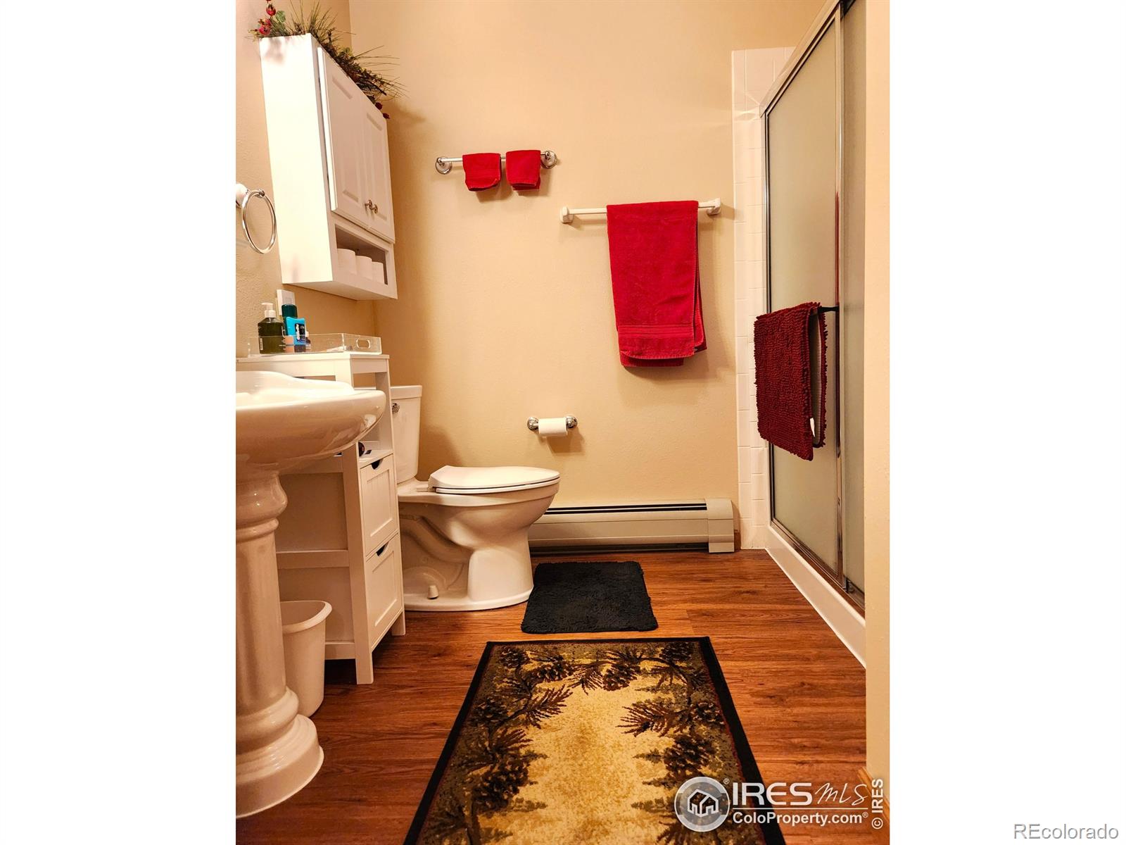 MLS Image #39 for 1443  matthew circle,estes park, Colorado