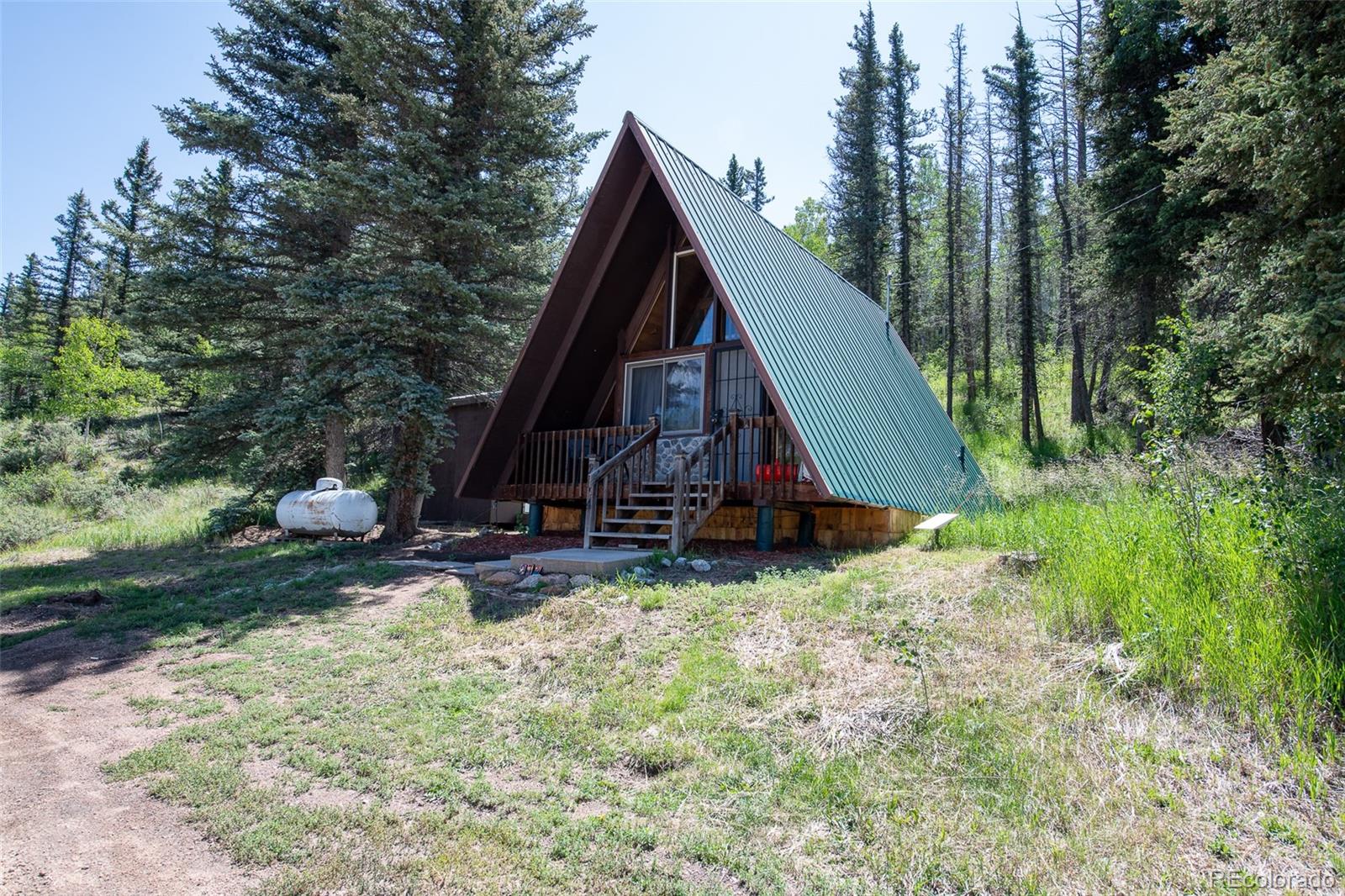 MLS Image #0 for 274  midland road,florissant, Colorado