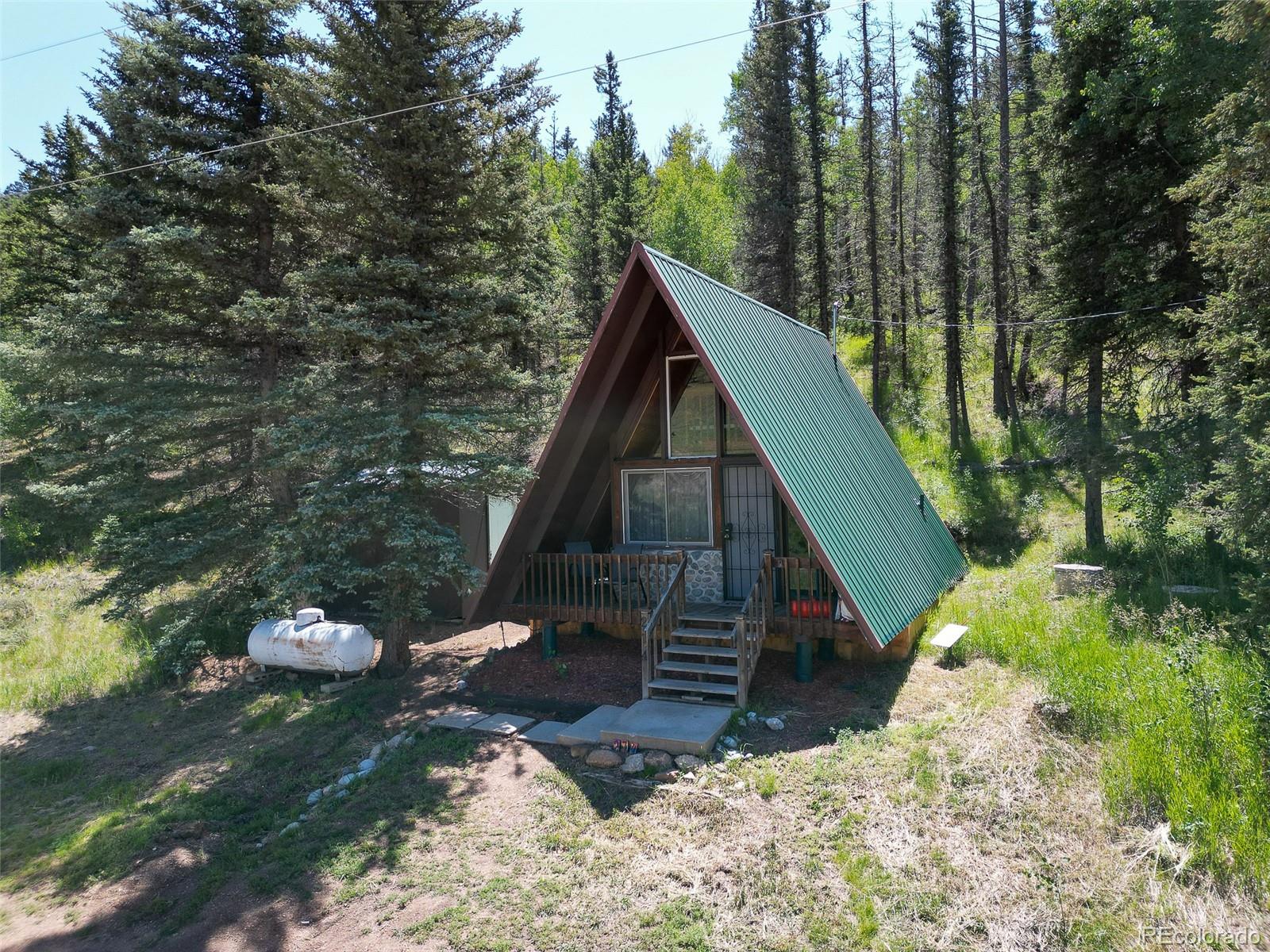 MLS Image #12 for 274  midland road,florissant, Colorado