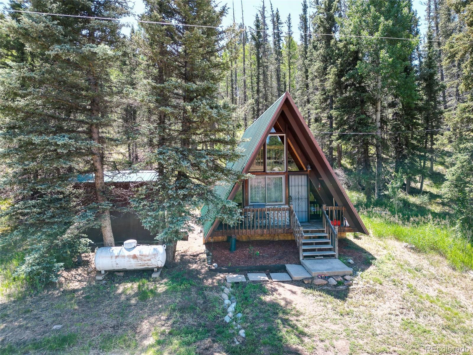 MLS Image #13 for 274  midland road,florissant, Colorado