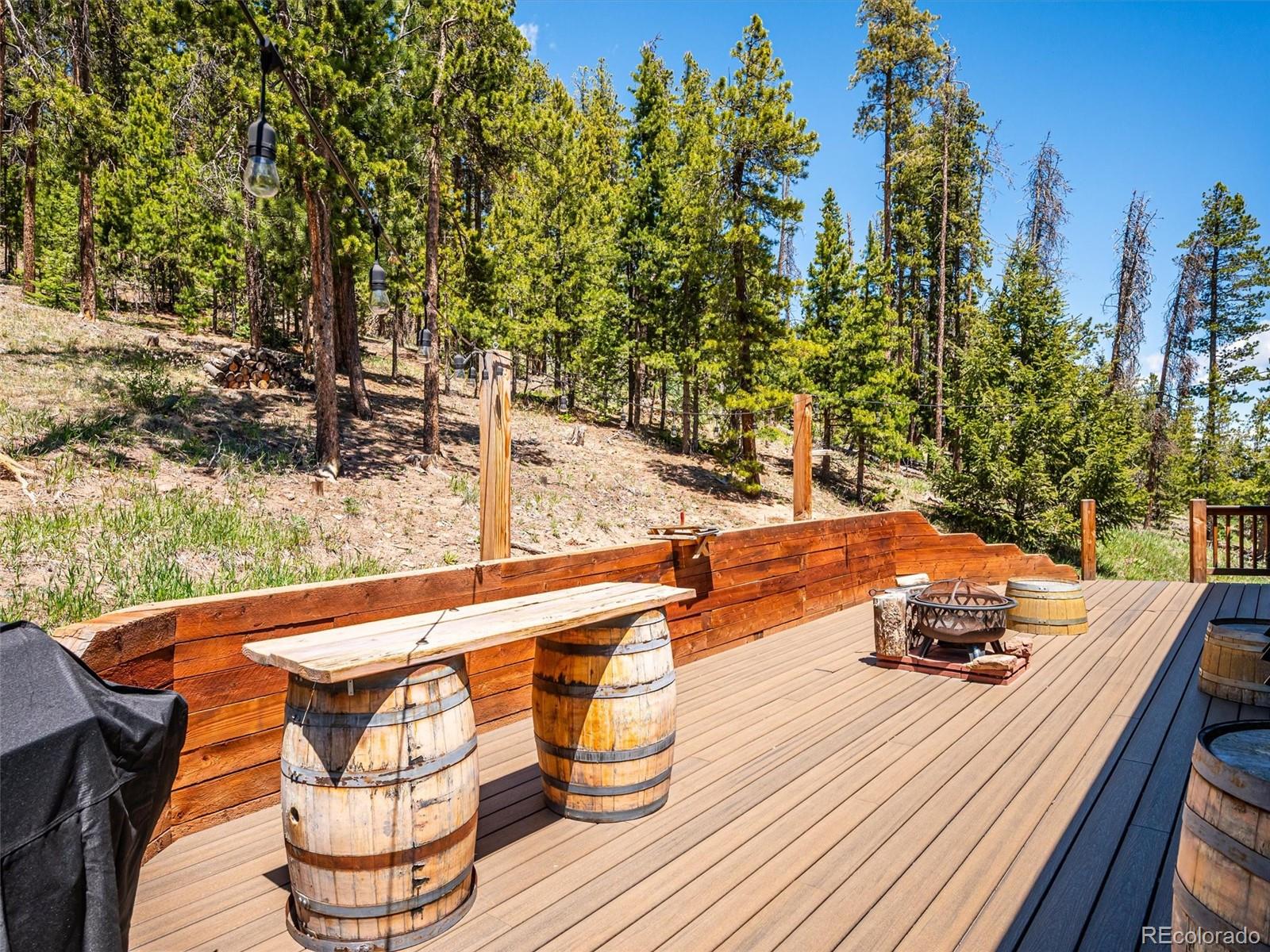 MLS Image #35 for 34075  grouse lane,evergreen, Colorado