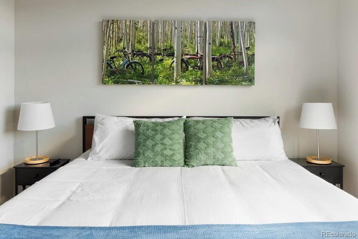 MLS Image #30 for 387  bear trail,winter park, Colorado