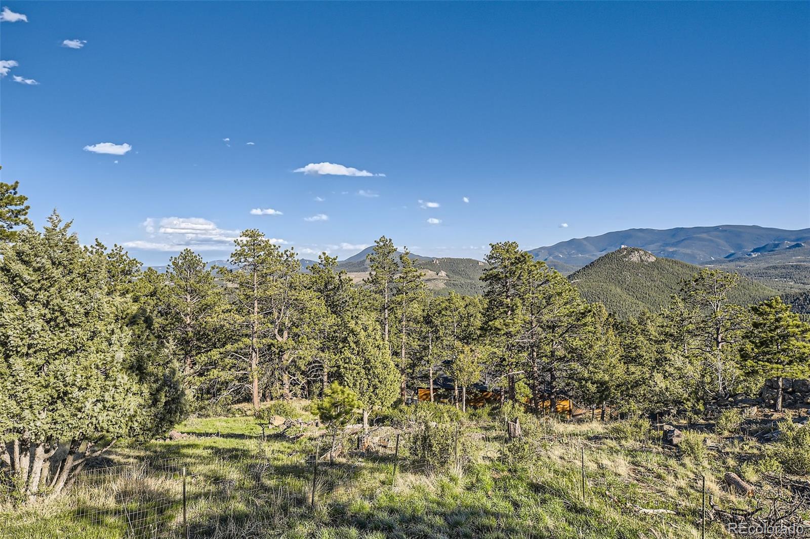 MLS Image #24 for 2037  mockingbird trail,bailey, Colorado