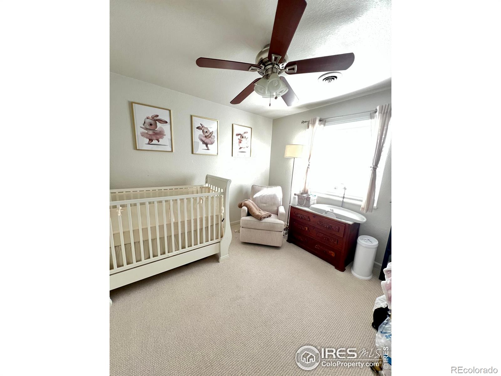MLS Image #12 for 812  tracey parkway,fort collins, Colorado