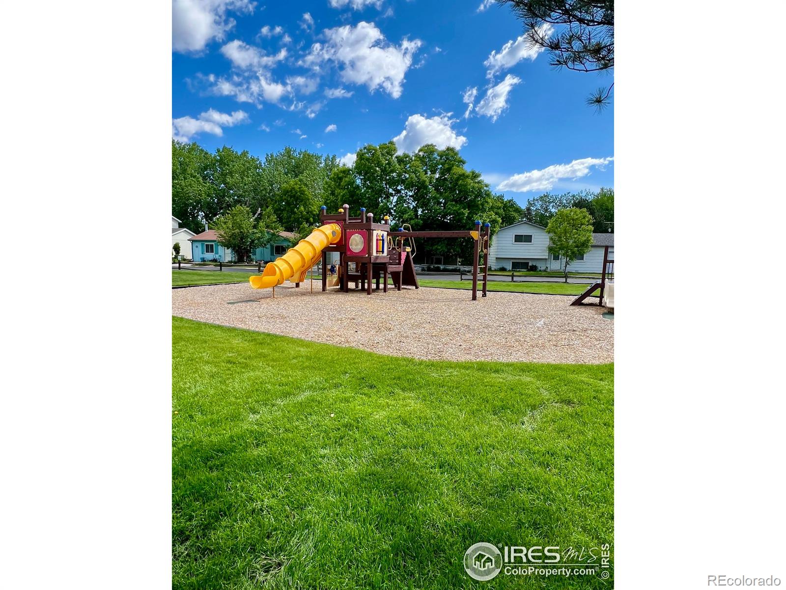 MLS Image #16 for 812  tracey parkway,fort collins, Colorado