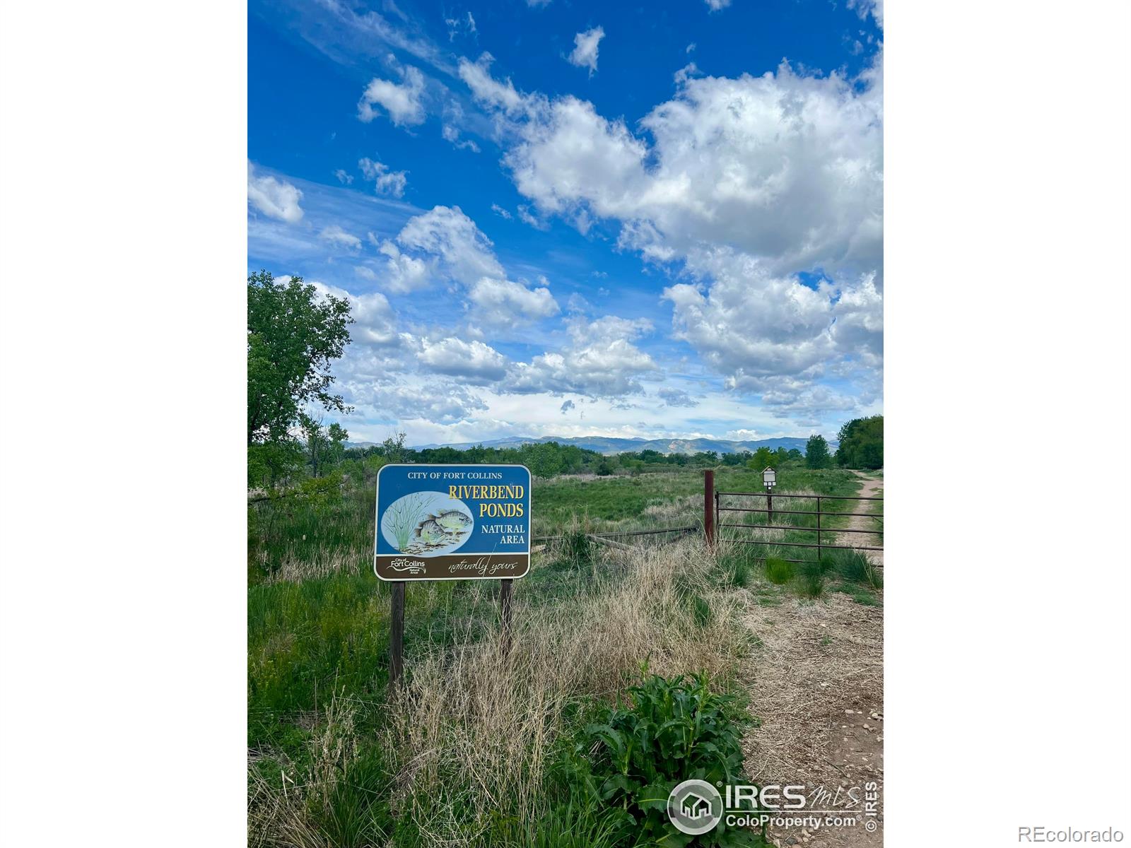 MLS Image #20 for 812  tracey parkway,fort collins, Colorado