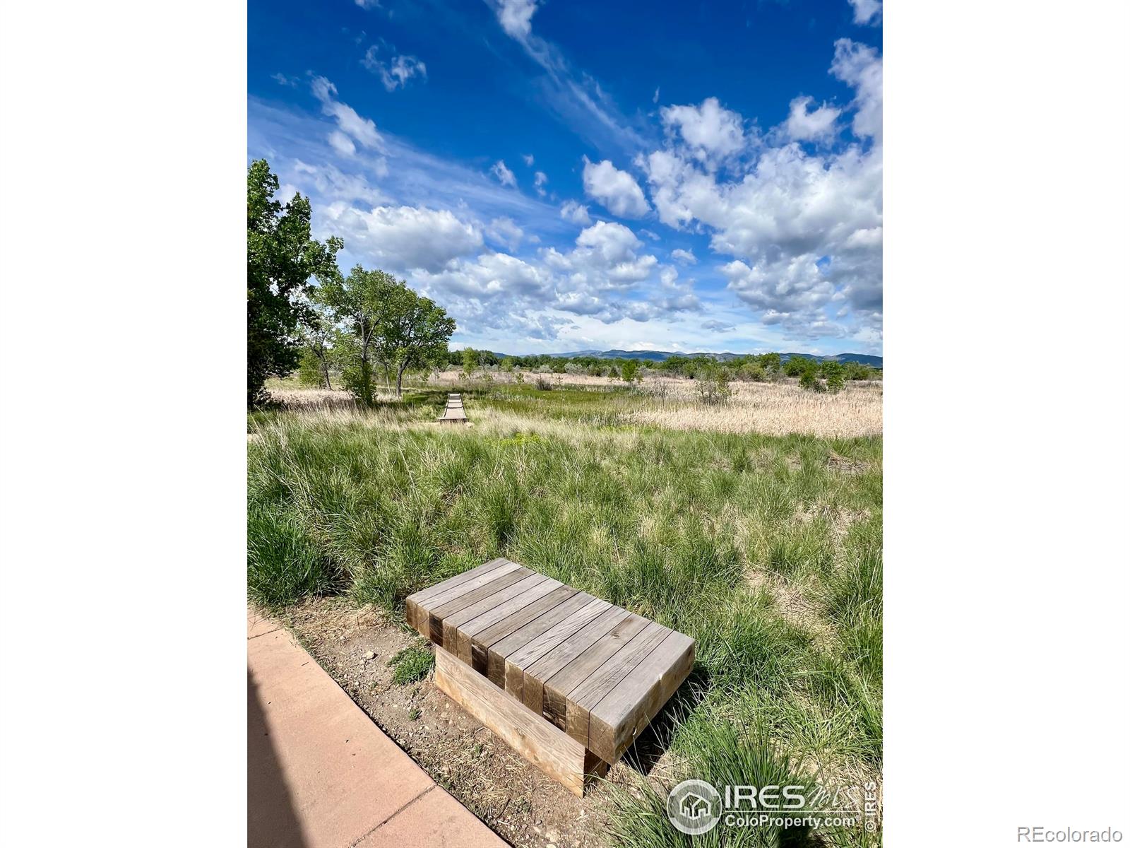 MLS Image #21 for 812  tracey parkway,fort collins, Colorado