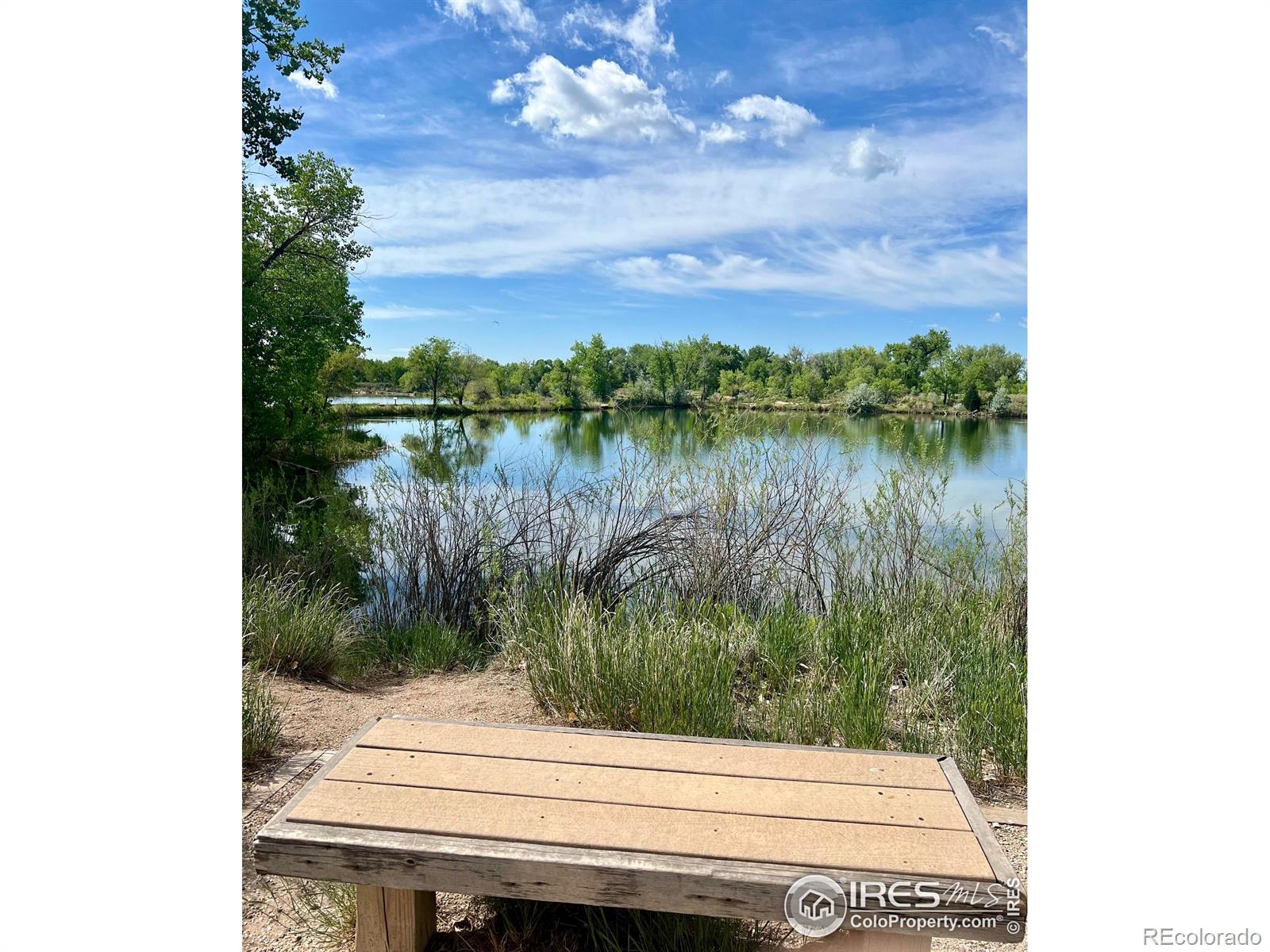 MLS Image #23 for 812  tracey parkway,fort collins, Colorado