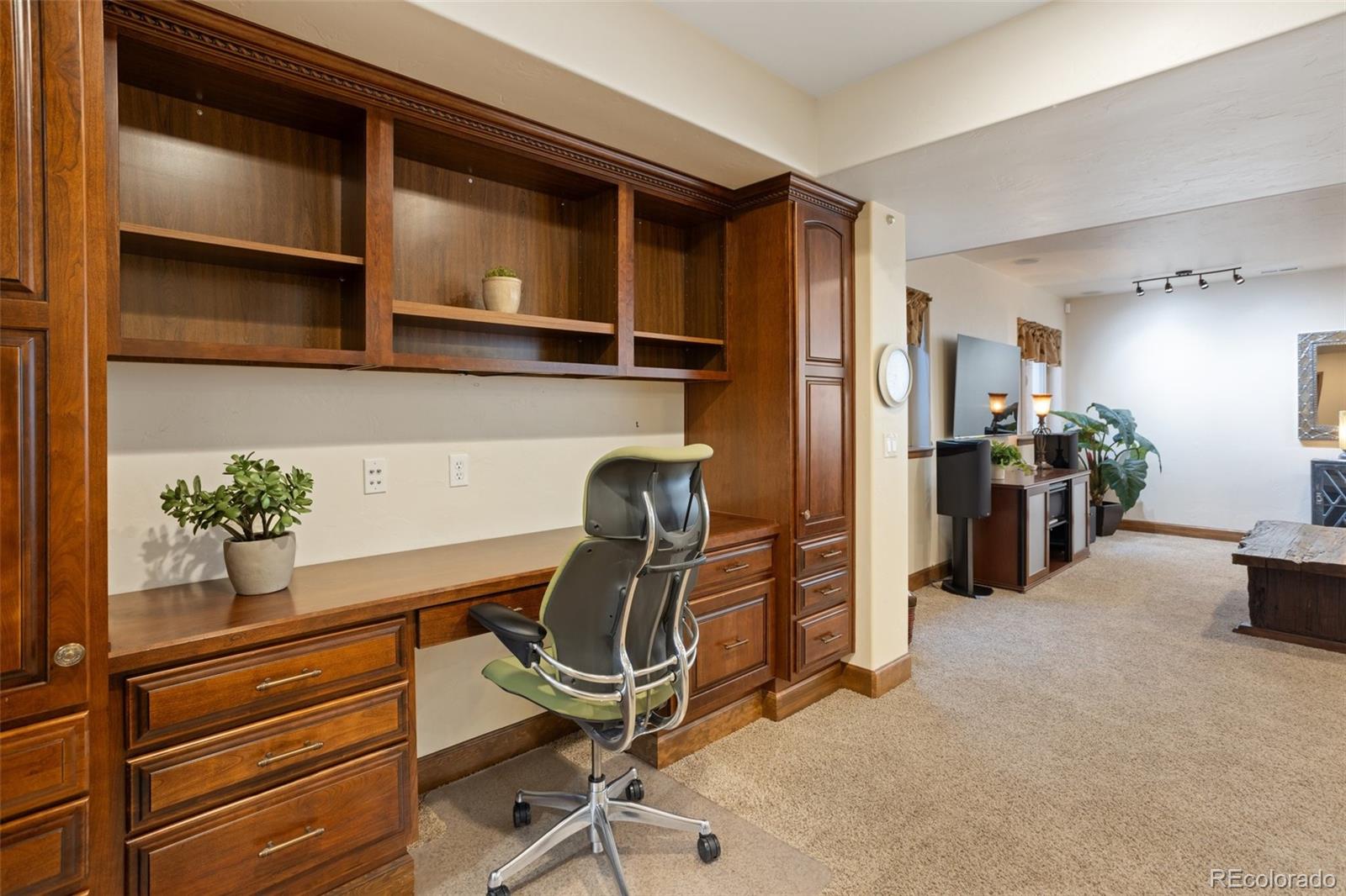 MLS Image #29 for 2192  rocking horse court,colorado springs, Colorado