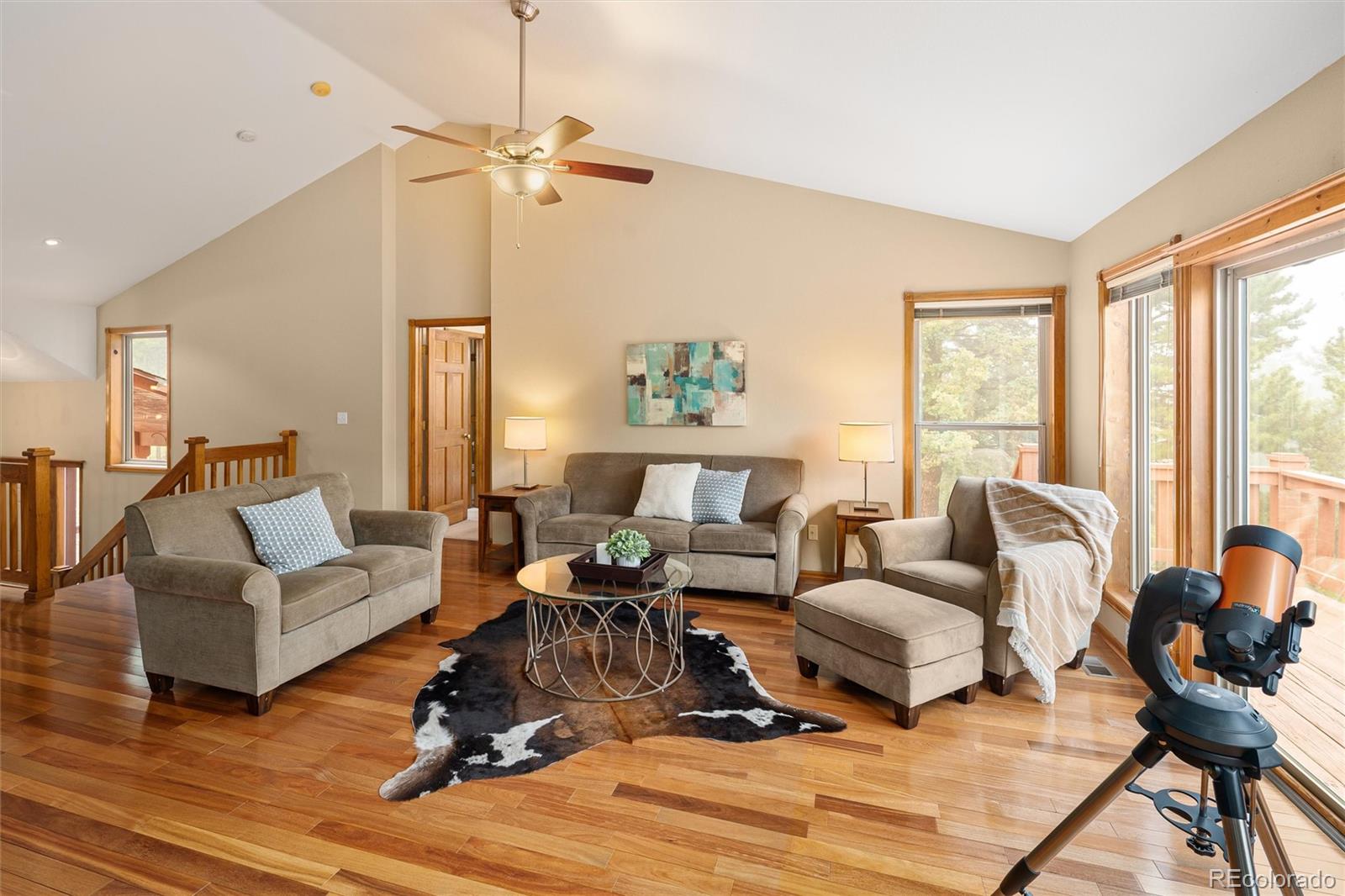 MLS Image #11 for 11163  conifer mountain road,conifer, Colorado