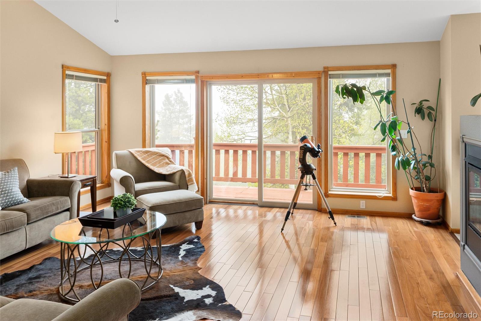 MLS Image #12 for 11163  conifer mountain road,conifer, Colorado