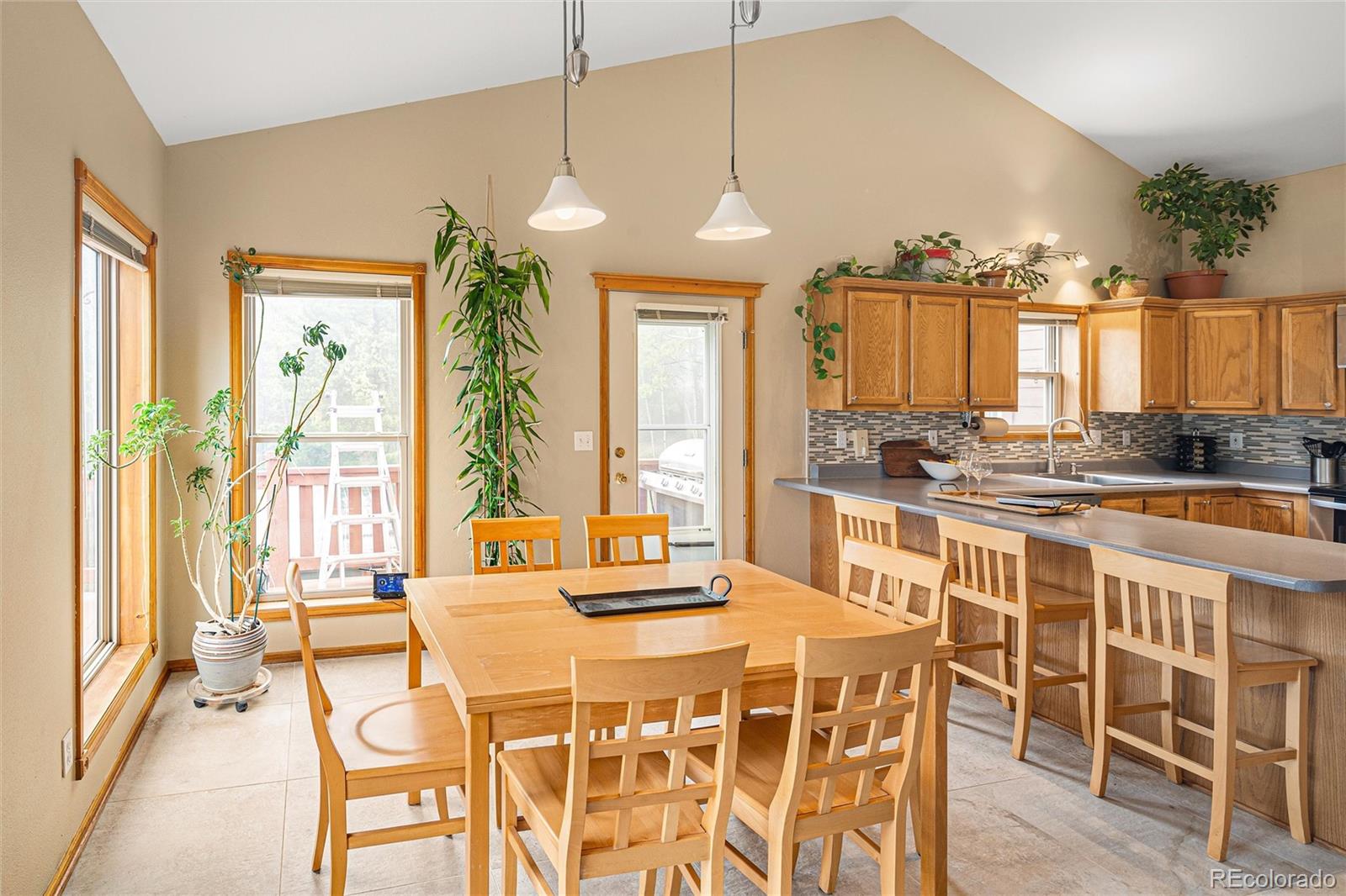 MLS Image #14 for 11163  conifer mountain road,conifer, Colorado