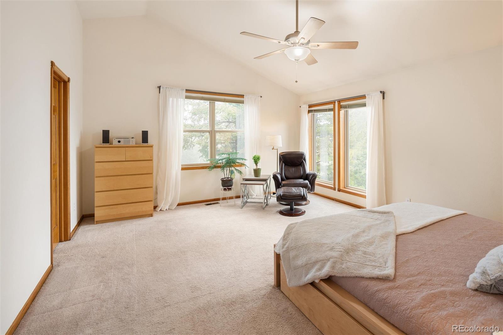 MLS Image #21 for 11163  conifer mountain road,conifer, Colorado