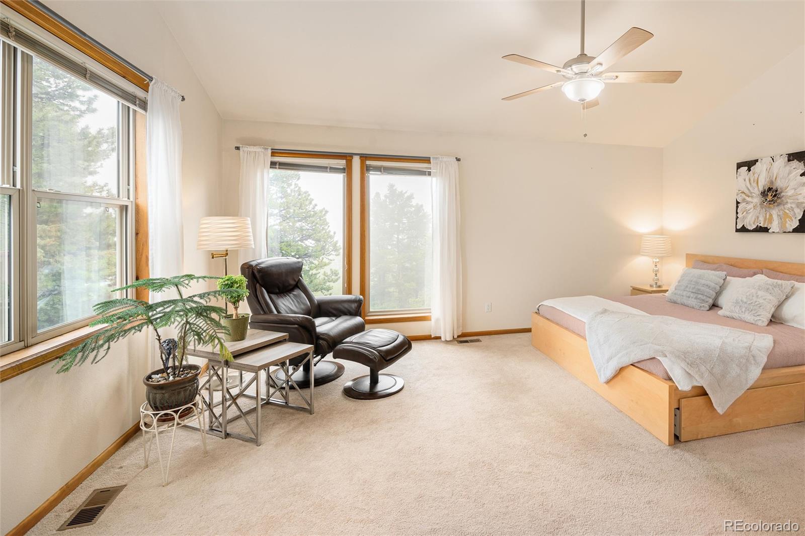 MLS Image #22 for 11163  conifer mountain road,conifer, Colorado
