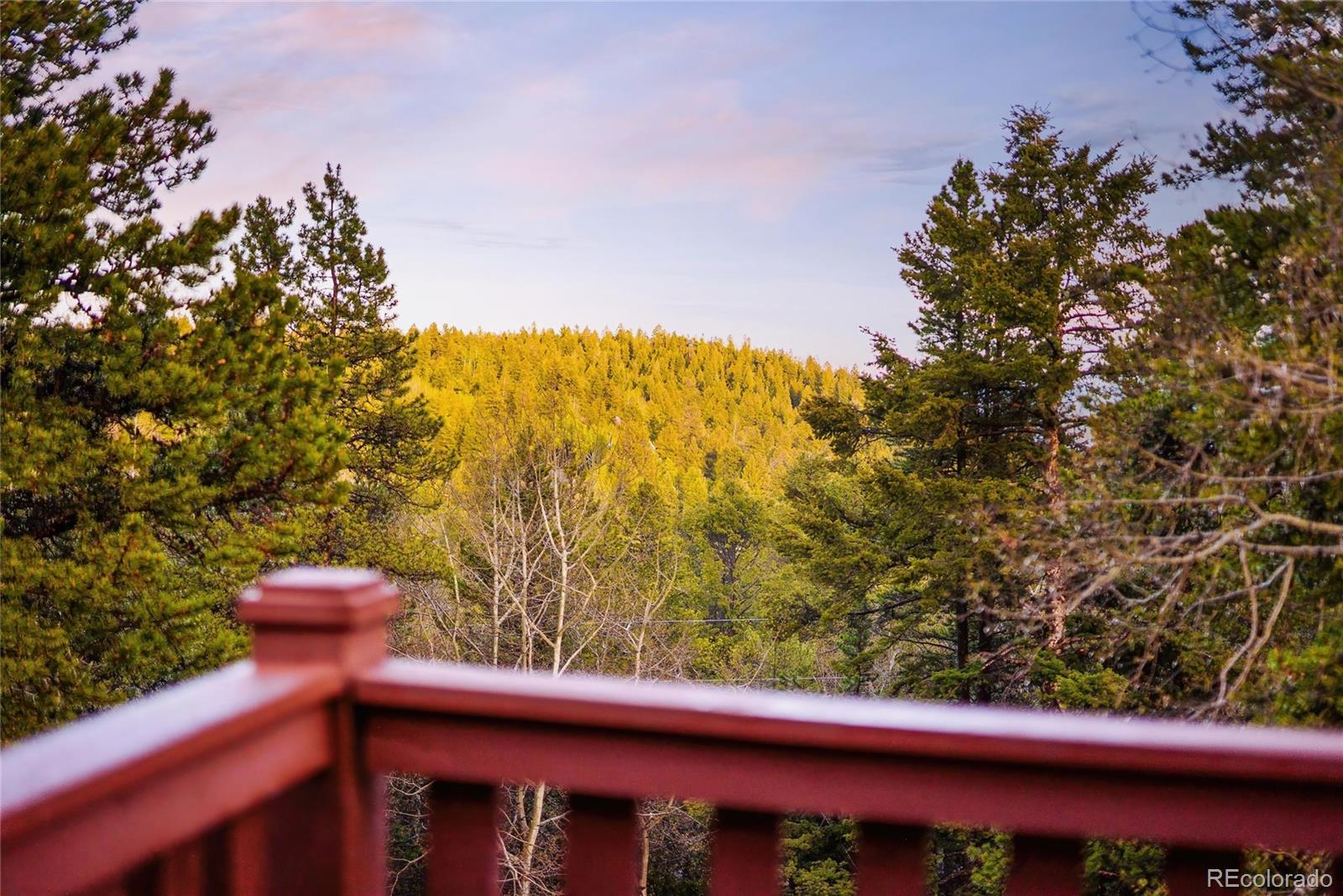 MLS Image #37 for 11163  conifer mountain road,conifer, Colorado