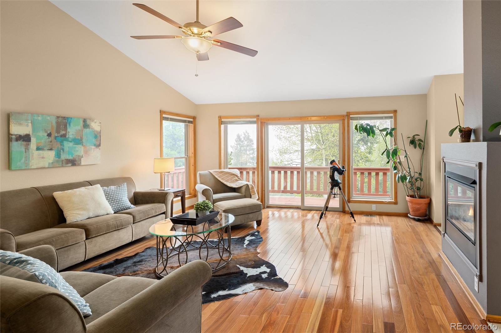 MLS Image #6 for 11163  conifer mountain road,conifer, Colorado