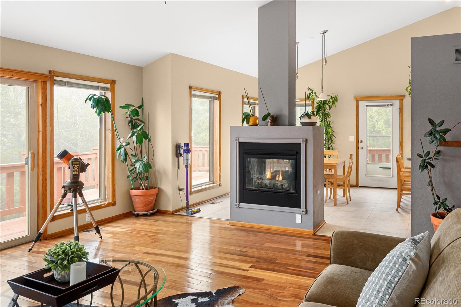MLS Image #8 for 11163  conifer mountain road,conifer, Colorado