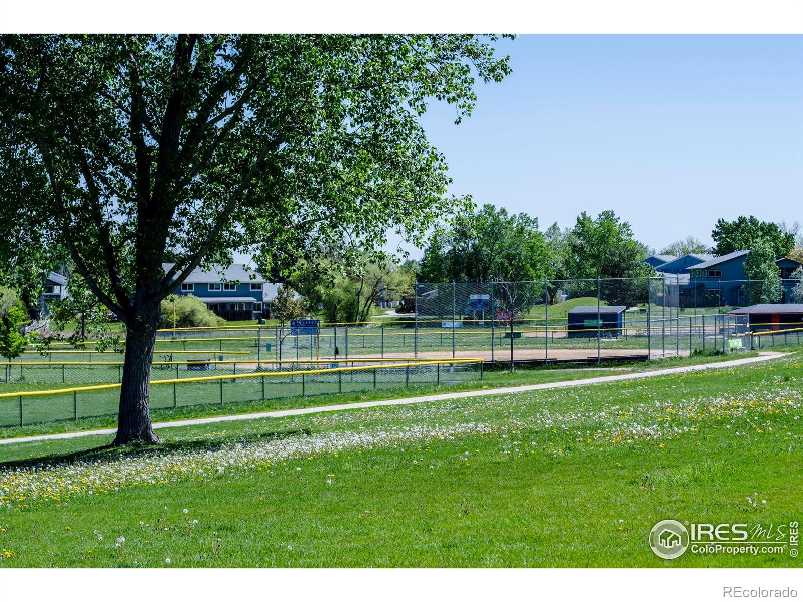 MLS Image #20 for 3313  madison avenue,boulder, Colorado