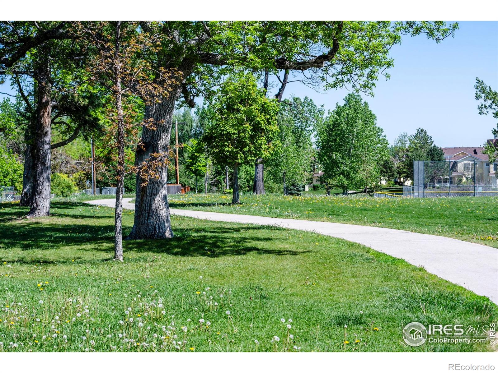 MLS Image #28 for 3313  madison avenue,boulder, Colorado