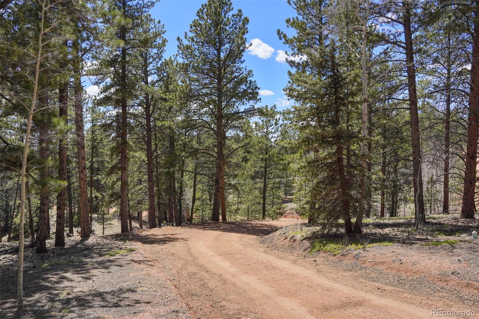 MLS Image #21 for 2450  pathfinder road,florissant, Colorado
