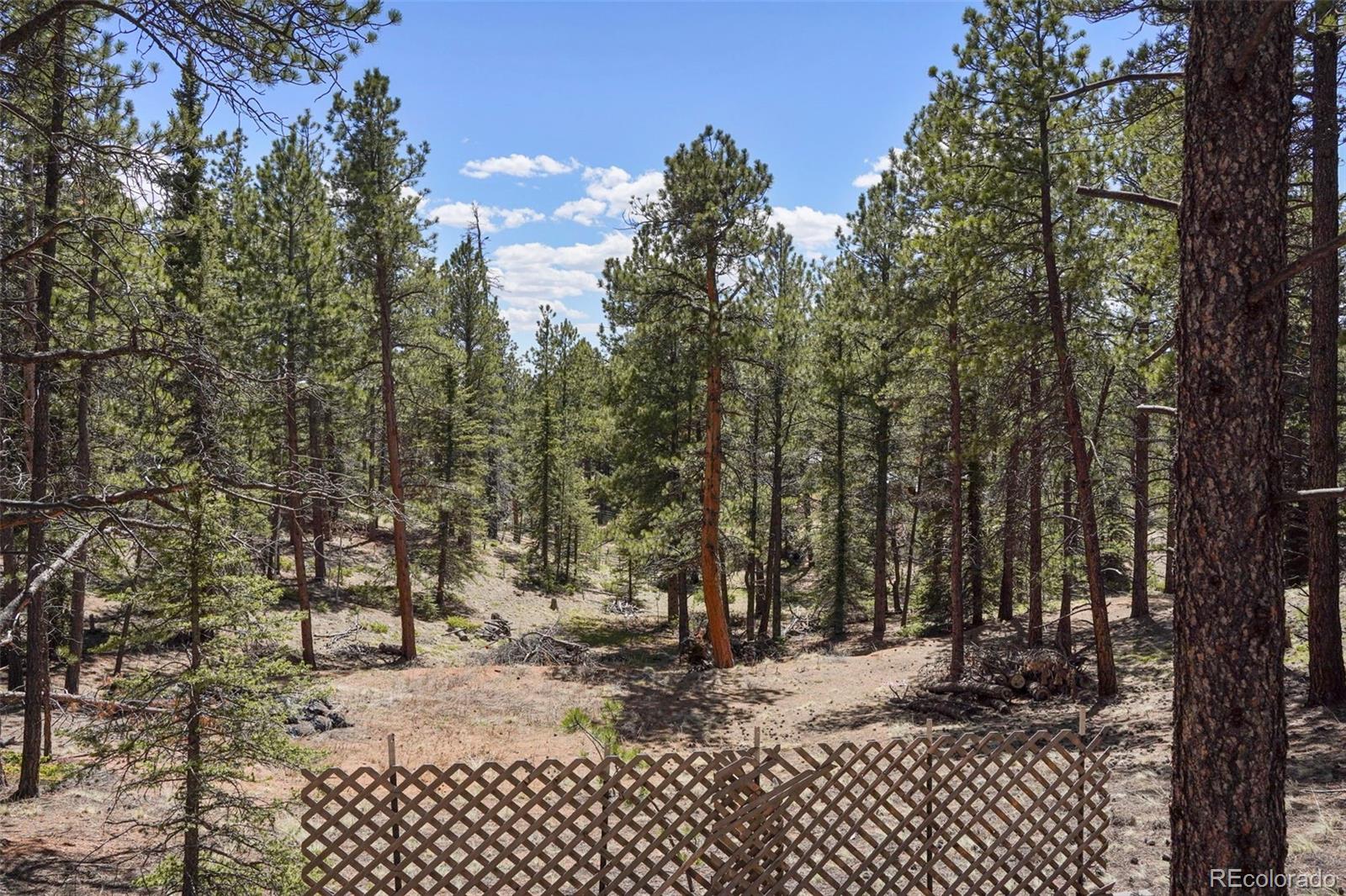 MLS Image #22 for 2450  pathfinder road,florissant, Colorado