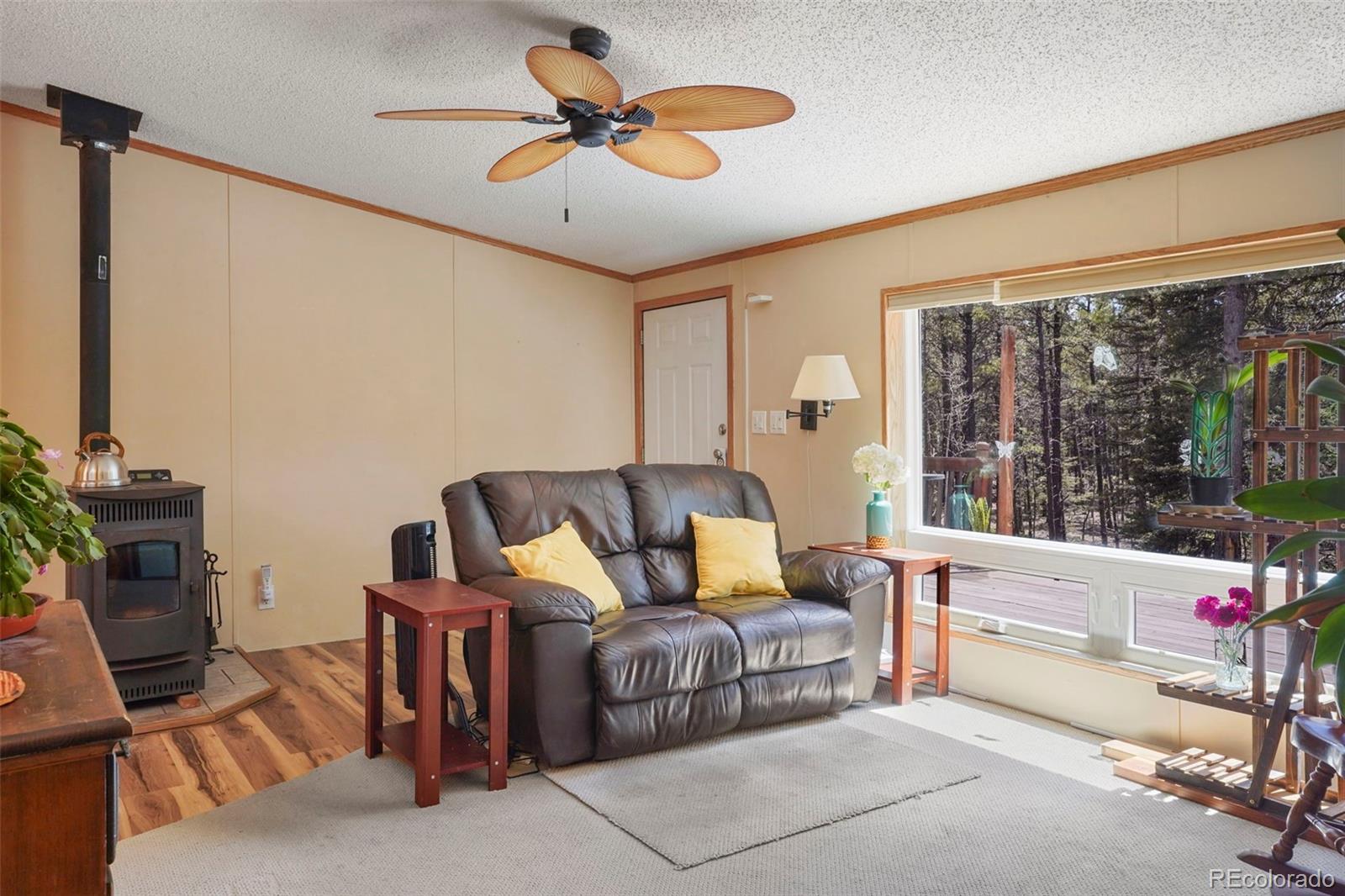 MLS Image #3 for 2450  pathfinder road,florissant, Colorado