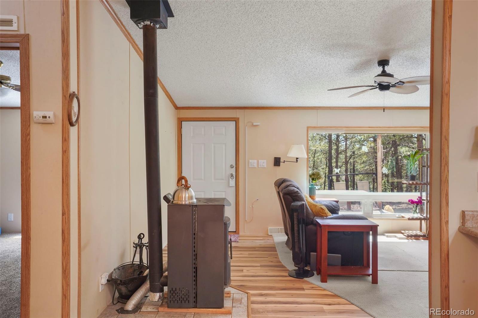 MLS Image #4 for 2450  pathfinder road,florissant, Colorado