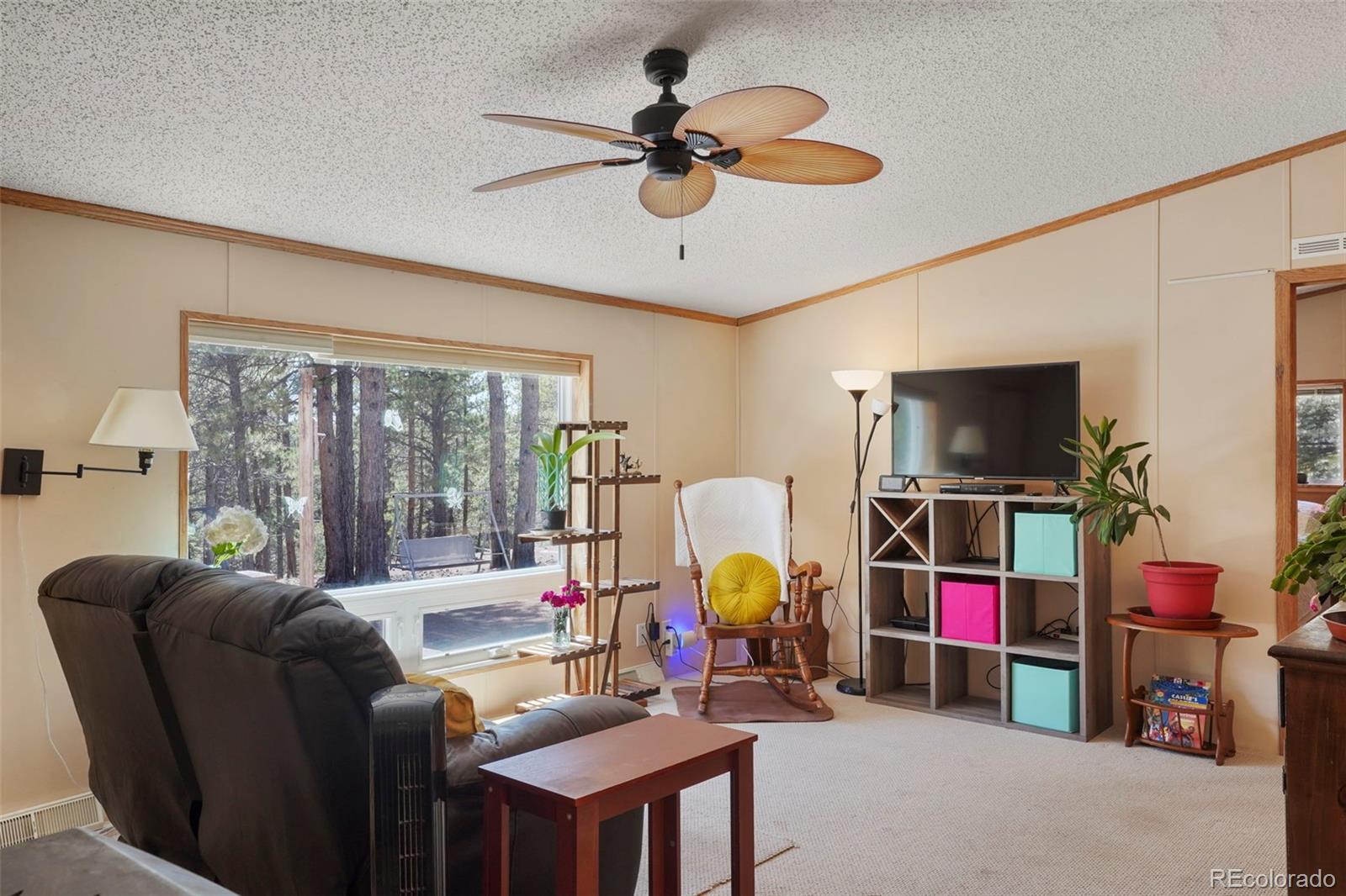 MLS Image #5 for 2450  pathfinder road,florissant, Colorado
