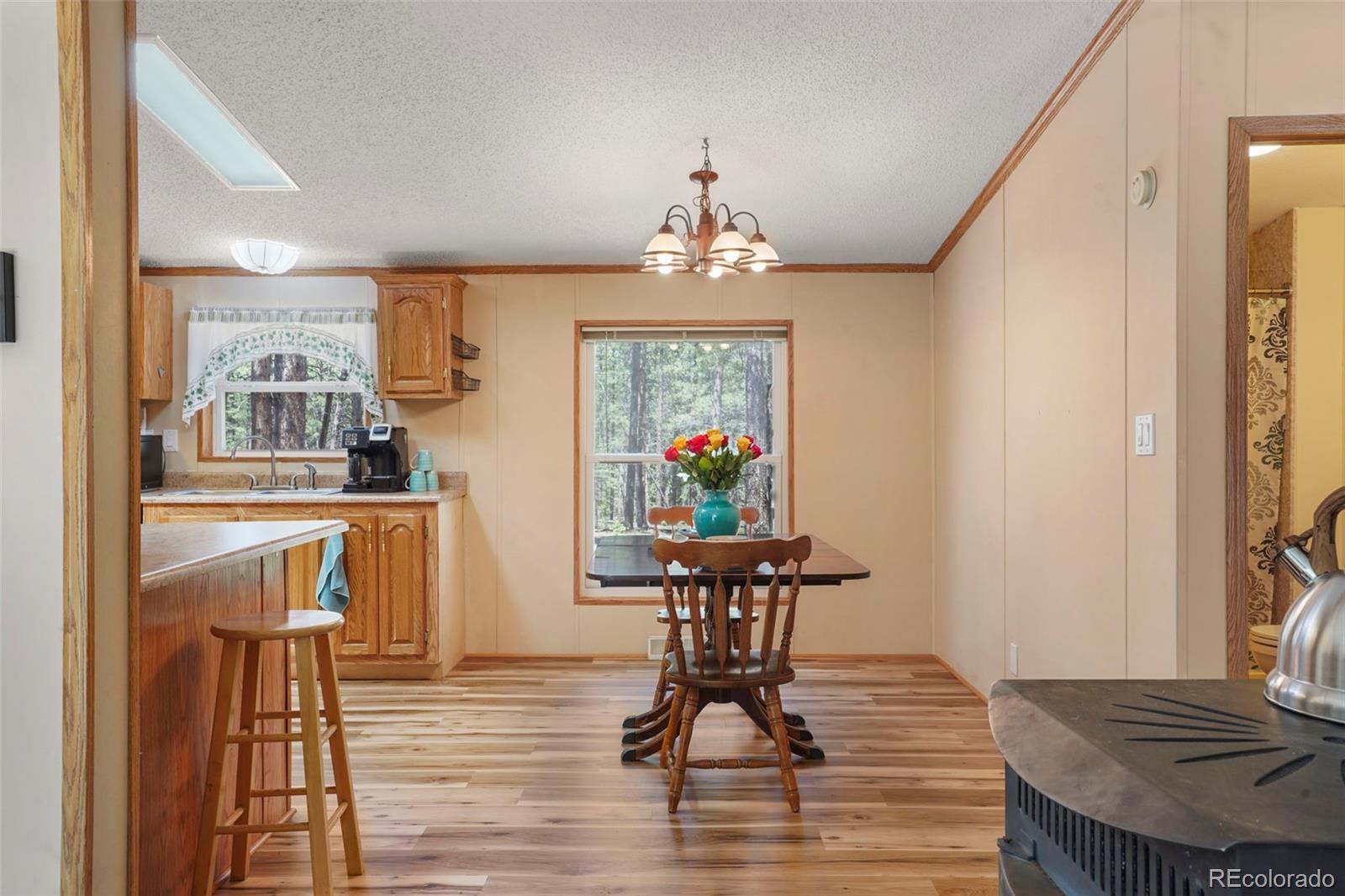 MLS Image #6 for 2450  pathfinder road,florissant, Colorado