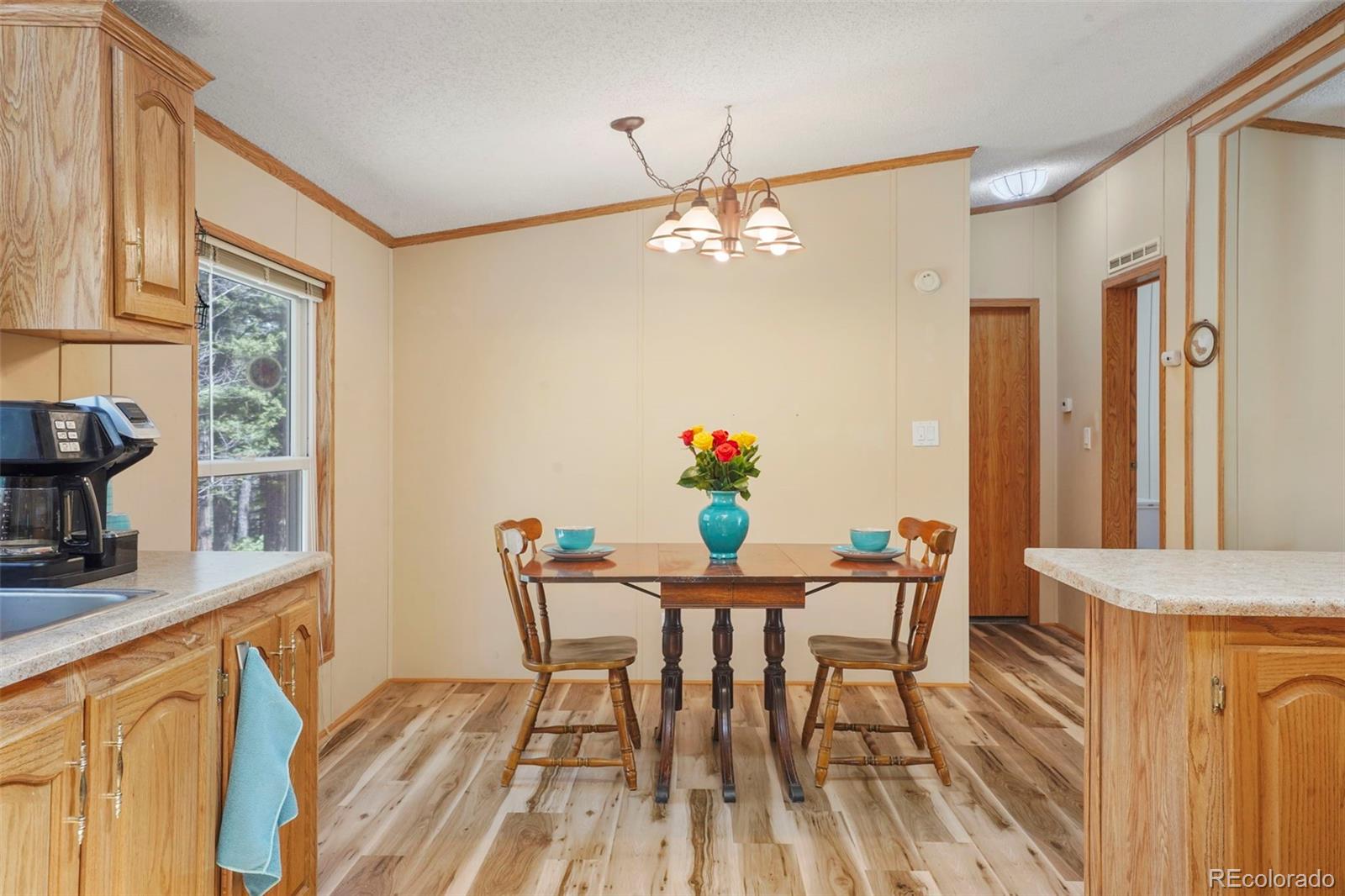 MLS Image #7 for 2450  pathfinder road,florissant, Colorado
