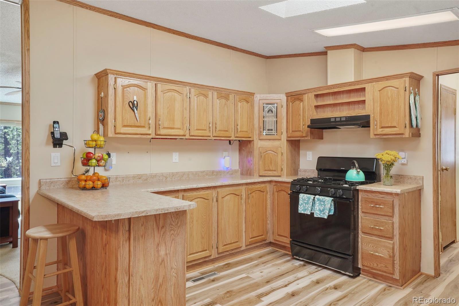 MLS Image #9 for 2450  pathfinder road,florissant, Colorado
