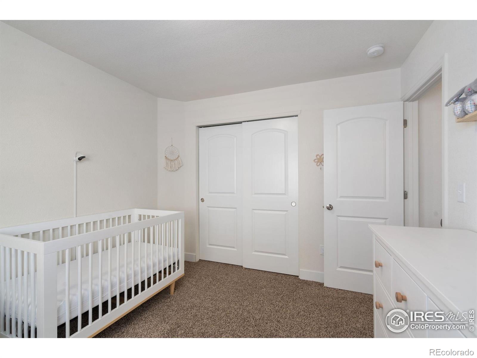 MLS Image #12 for 1566  driftline drive,severance, Colorado