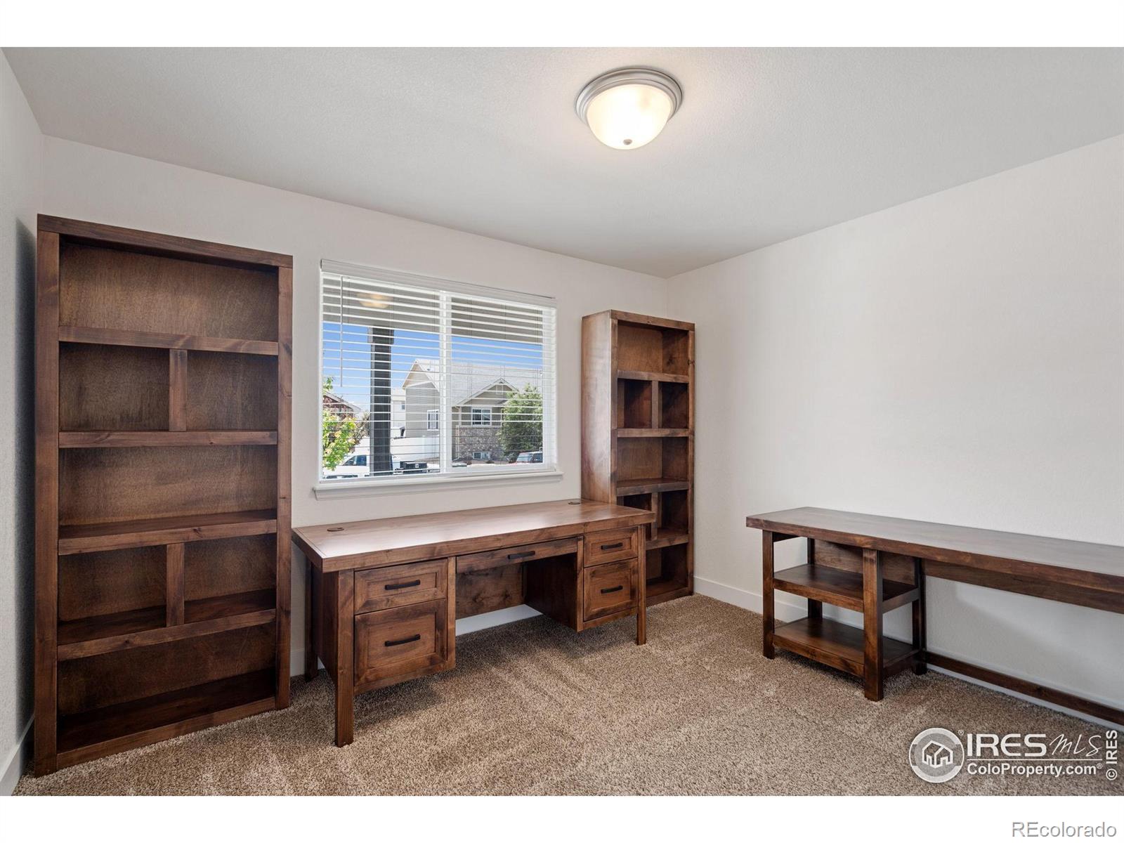 MLS Image #13 for 1566  driftline drive,severance, Colorado