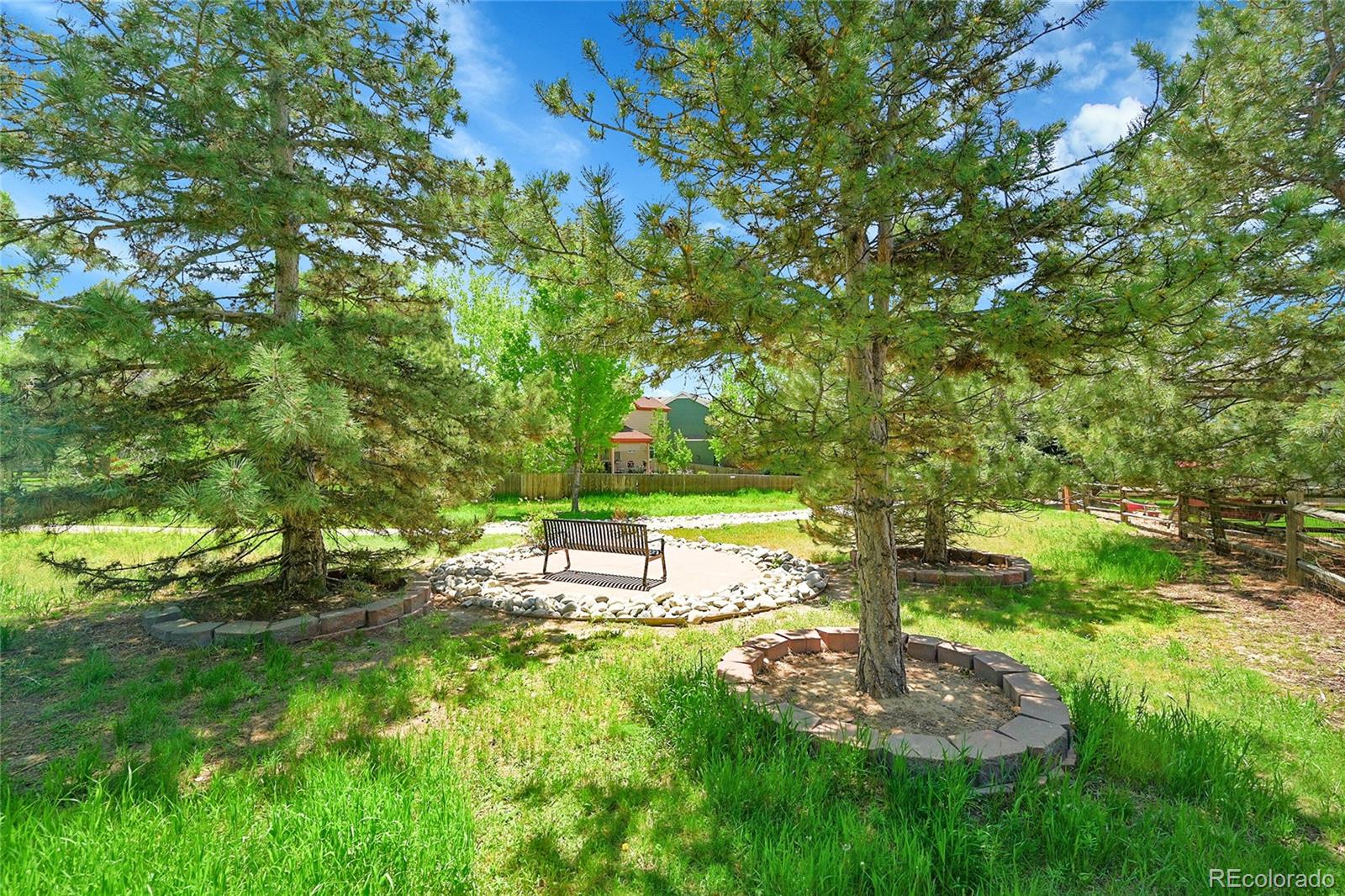 MLS Image #41 for 20530  parker vista circle,parker, Colorado