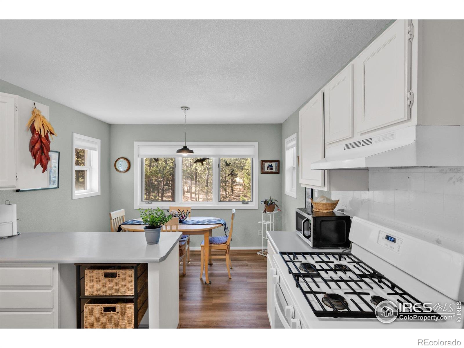 MLS Image #11 for 453  black fawn lane,westcliffe, Colorado