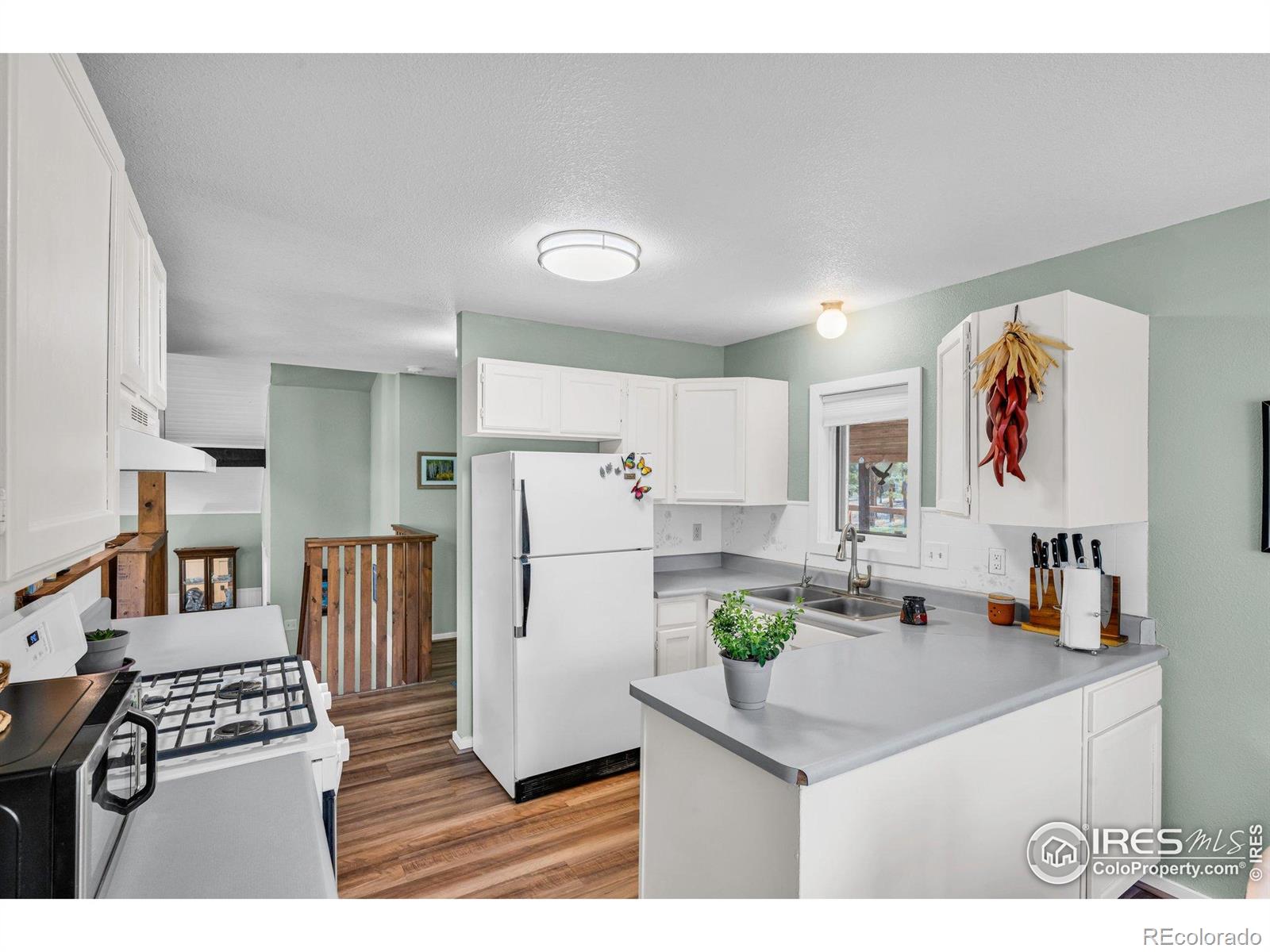 MLS Image #12 for 453  black fawn lane,westcliffe, Colorado