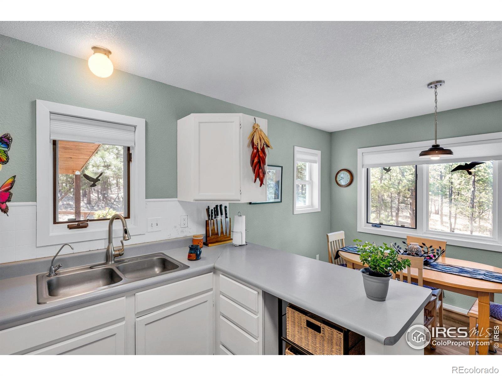MLS Image #14 for 453  black fawn lane,westcliffe, Colorado