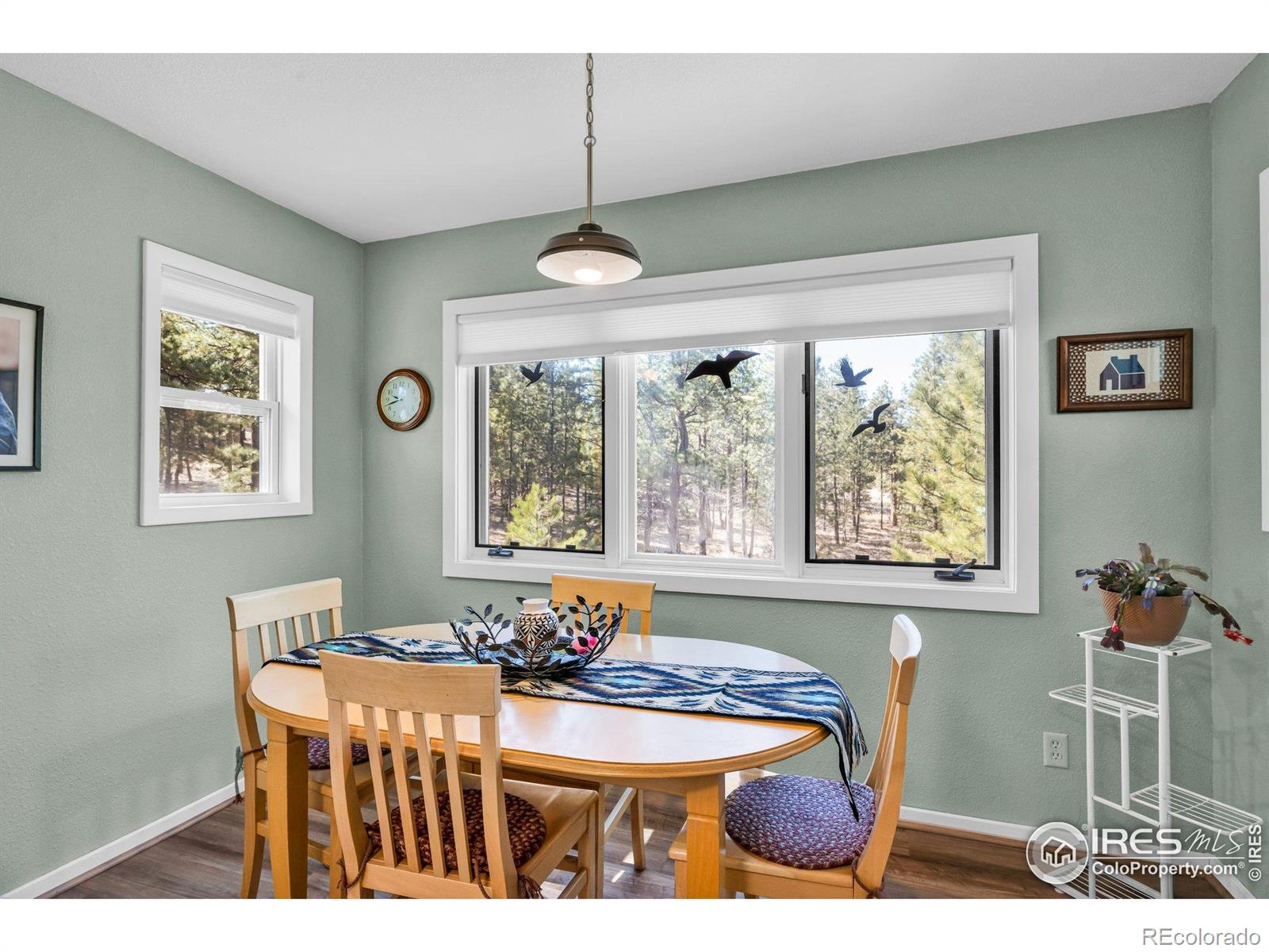 MLS Image #15 for 453  black fawn lane,westcliffe, Colorado