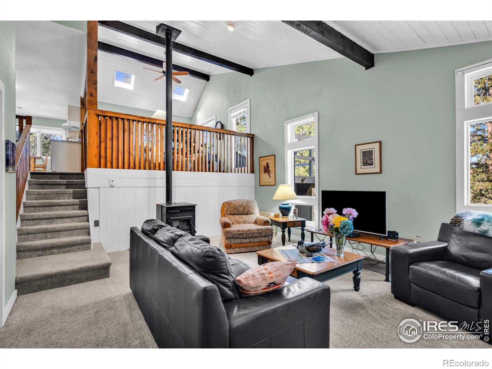 MLS Image #16 for 453  black fawn lane,westcliffe, Colorado