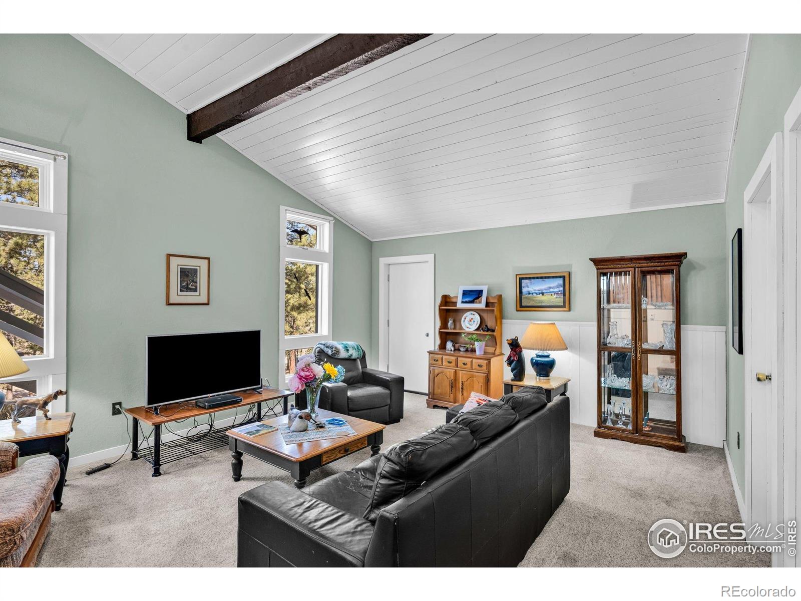 MLS Image #17 for 453  black fawn lane,westcliffe, Colorado