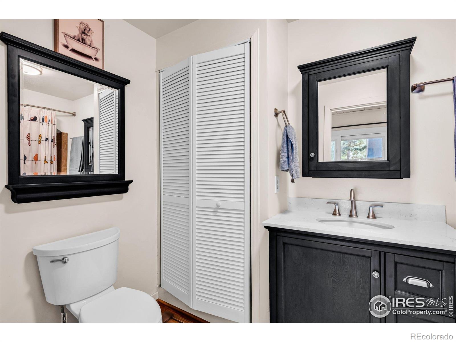 MLS Image #23 for 453  black fawn lane,westcliffe, Colorado