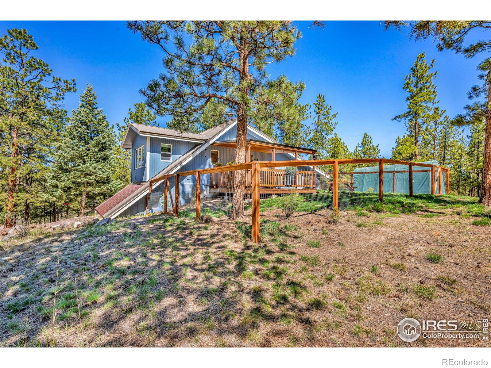 MLS Image #3 for 453  black fawn lane,westcliffe, Colorado