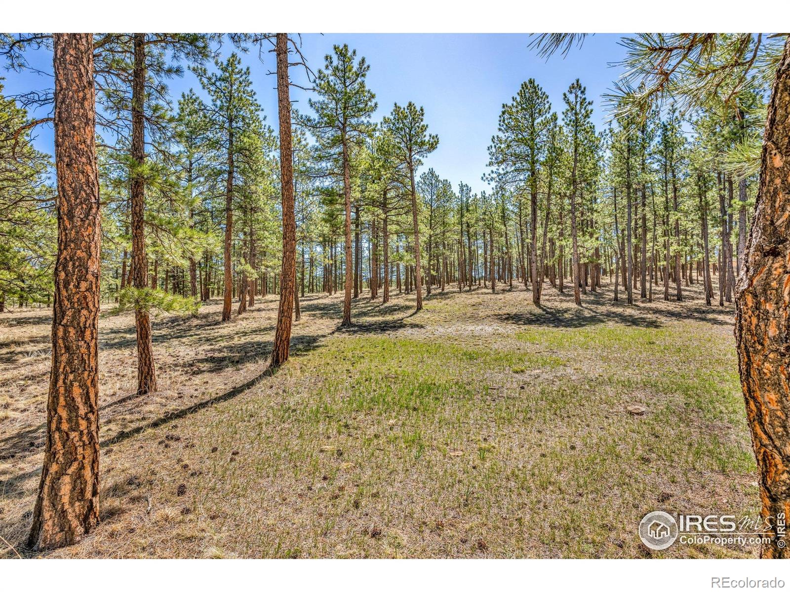 MLS Image #32 for 453  black fawn lane,westcliffe, Colorado
