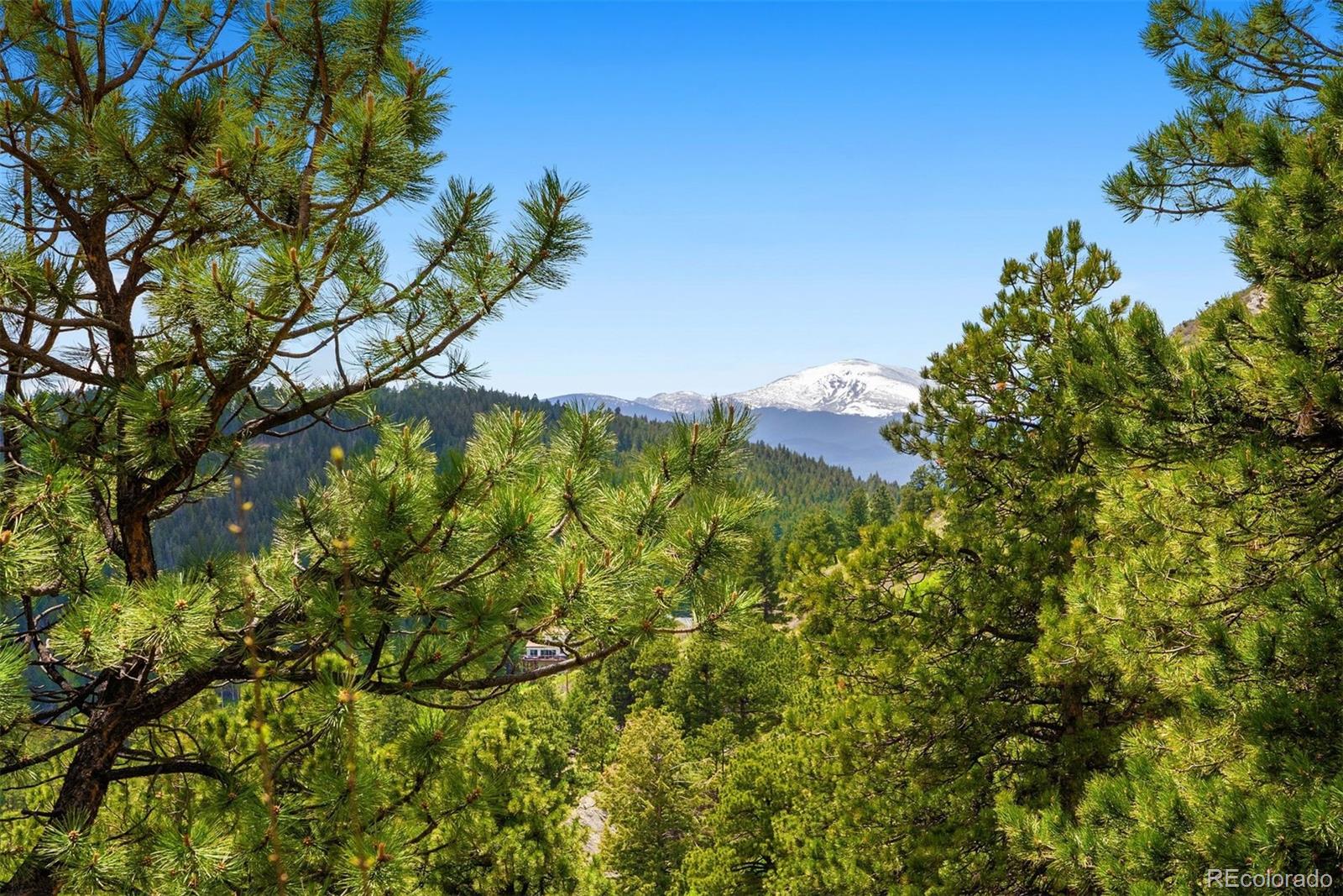 MLS Image #16 for 33095  bergen mountain road,evergreen, Colorado