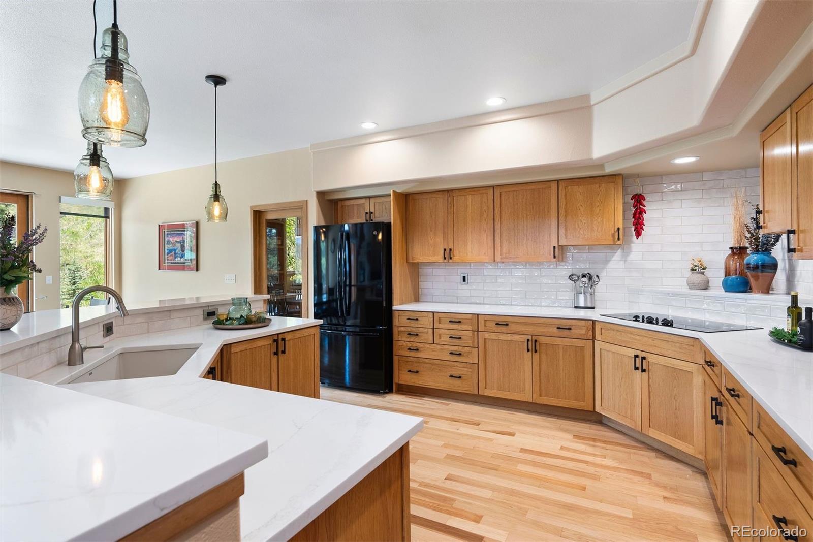MLS Image #21 for 33095  bergen mountain road,evergreen, Colorado
