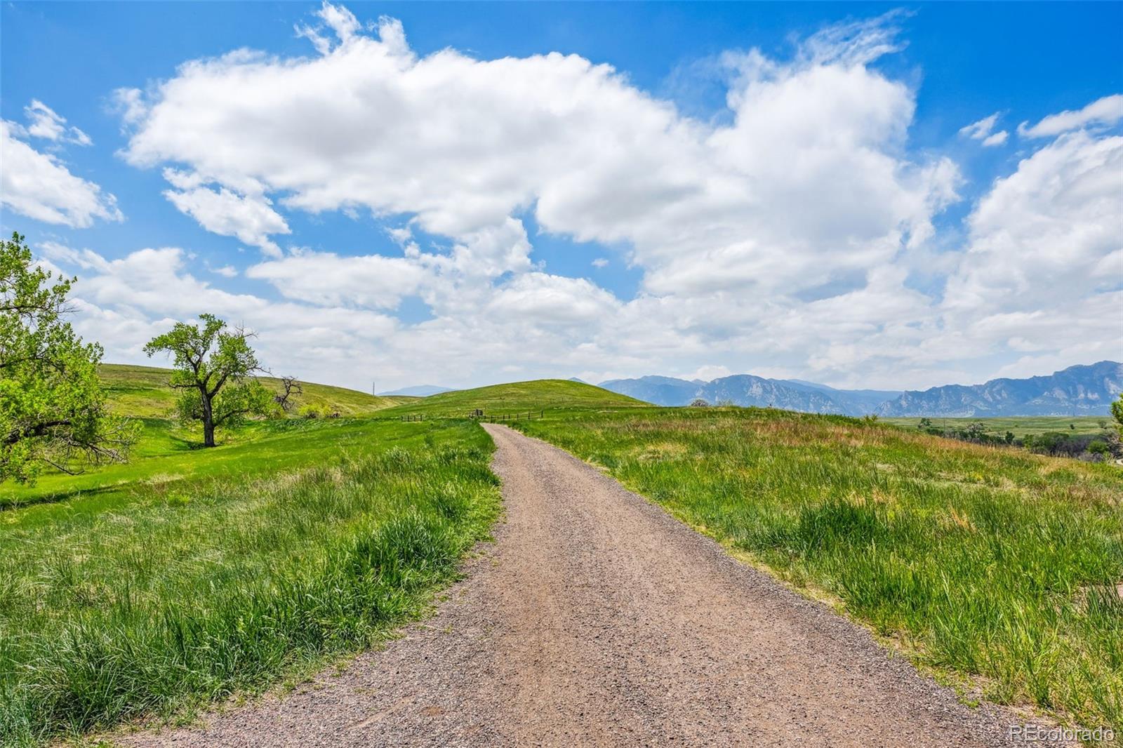 MLS Image #35 for 584  ridgeview drive,louisville, Colorado