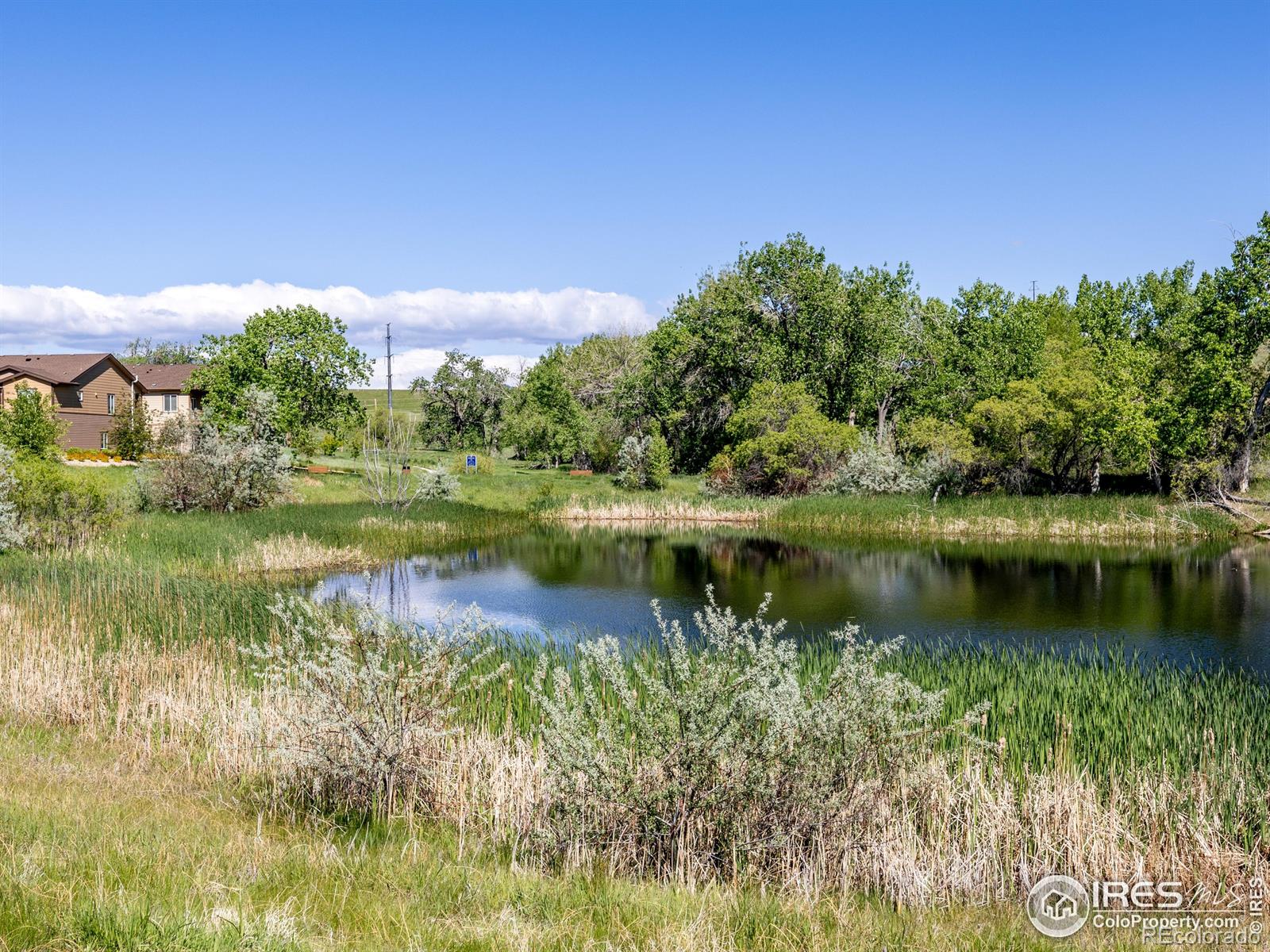 MLS Image #36 for 12556 w montane drive,broomfield, Colorado
