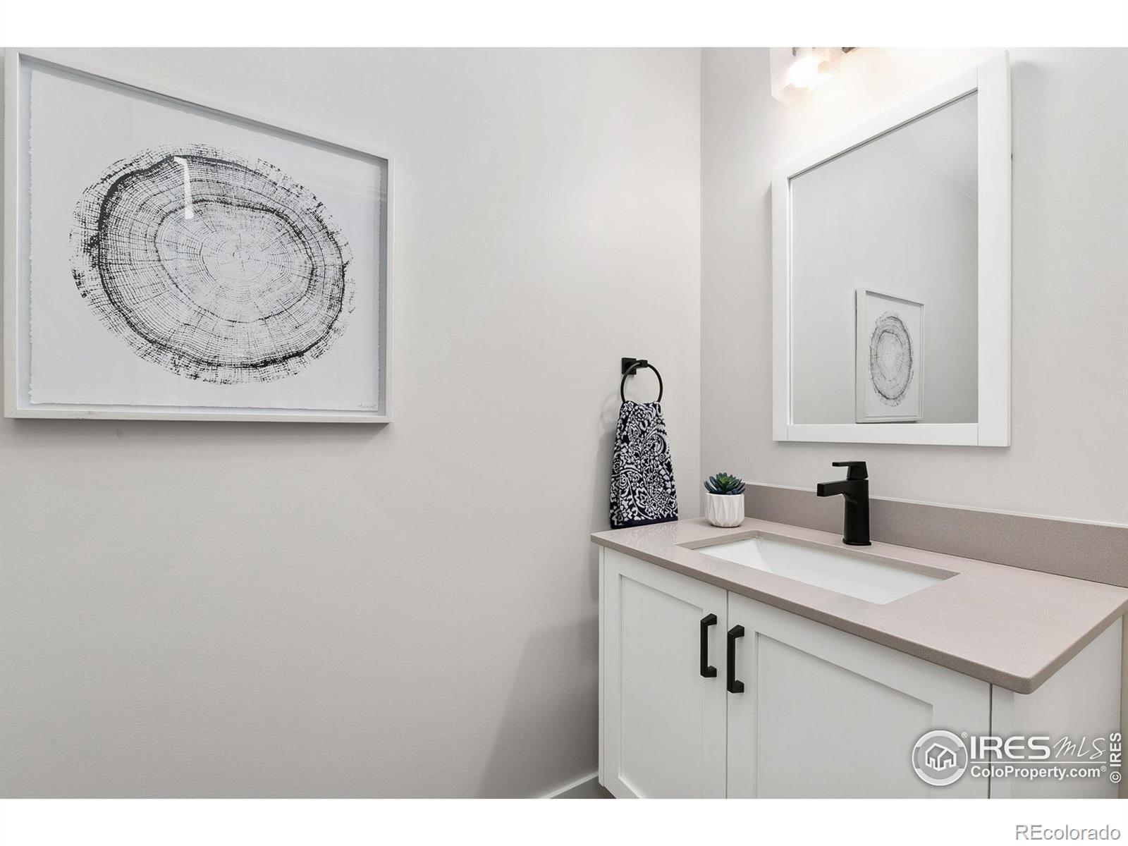 MLS Image #10 for 221 e mountain avenue,fort collins, Colorado
