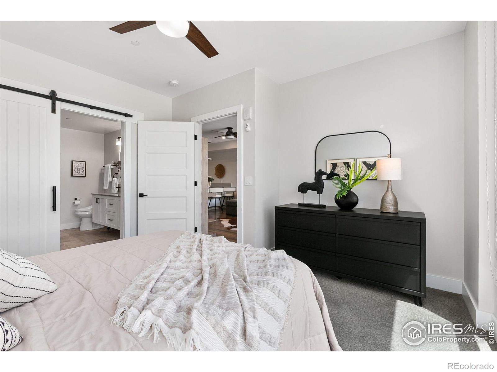 MLS Image #5 for 221 e mountain avenue,fort collins, Colorado